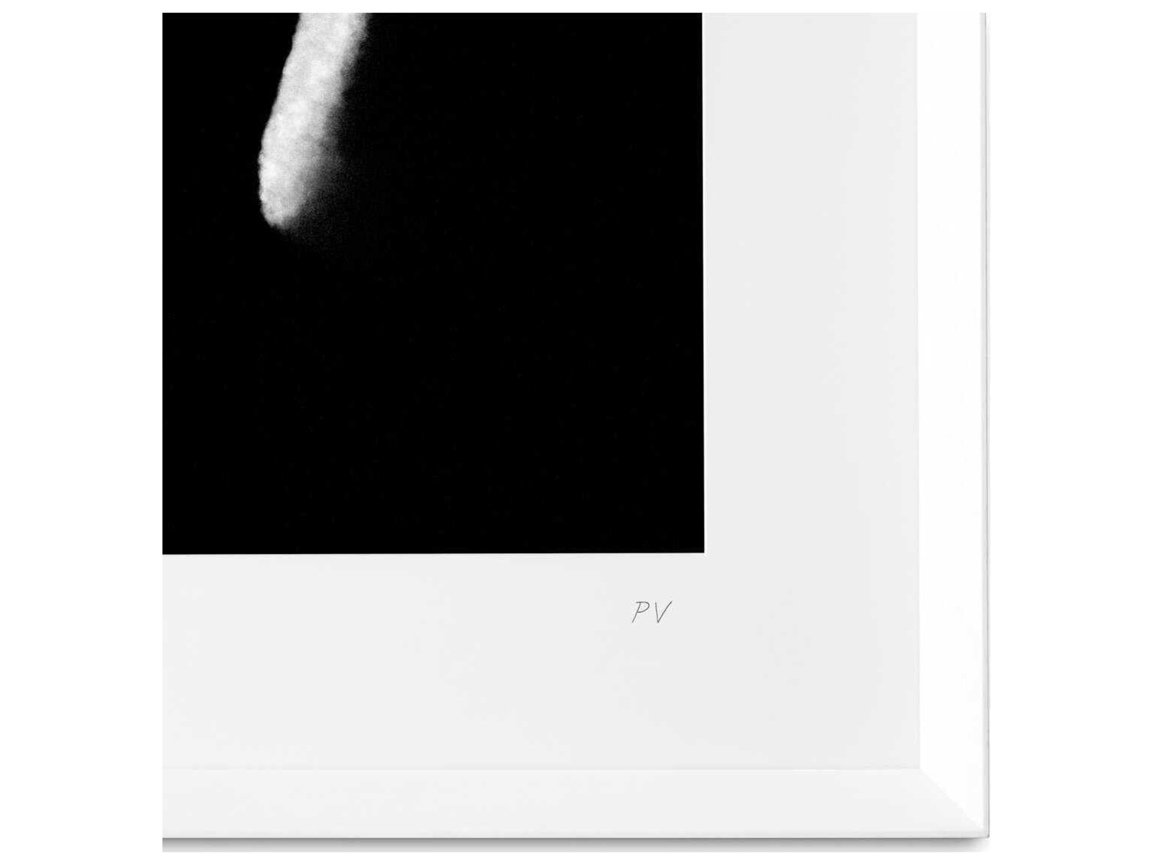 Eichholtz Print Philippe Vogelenzang La Nuit