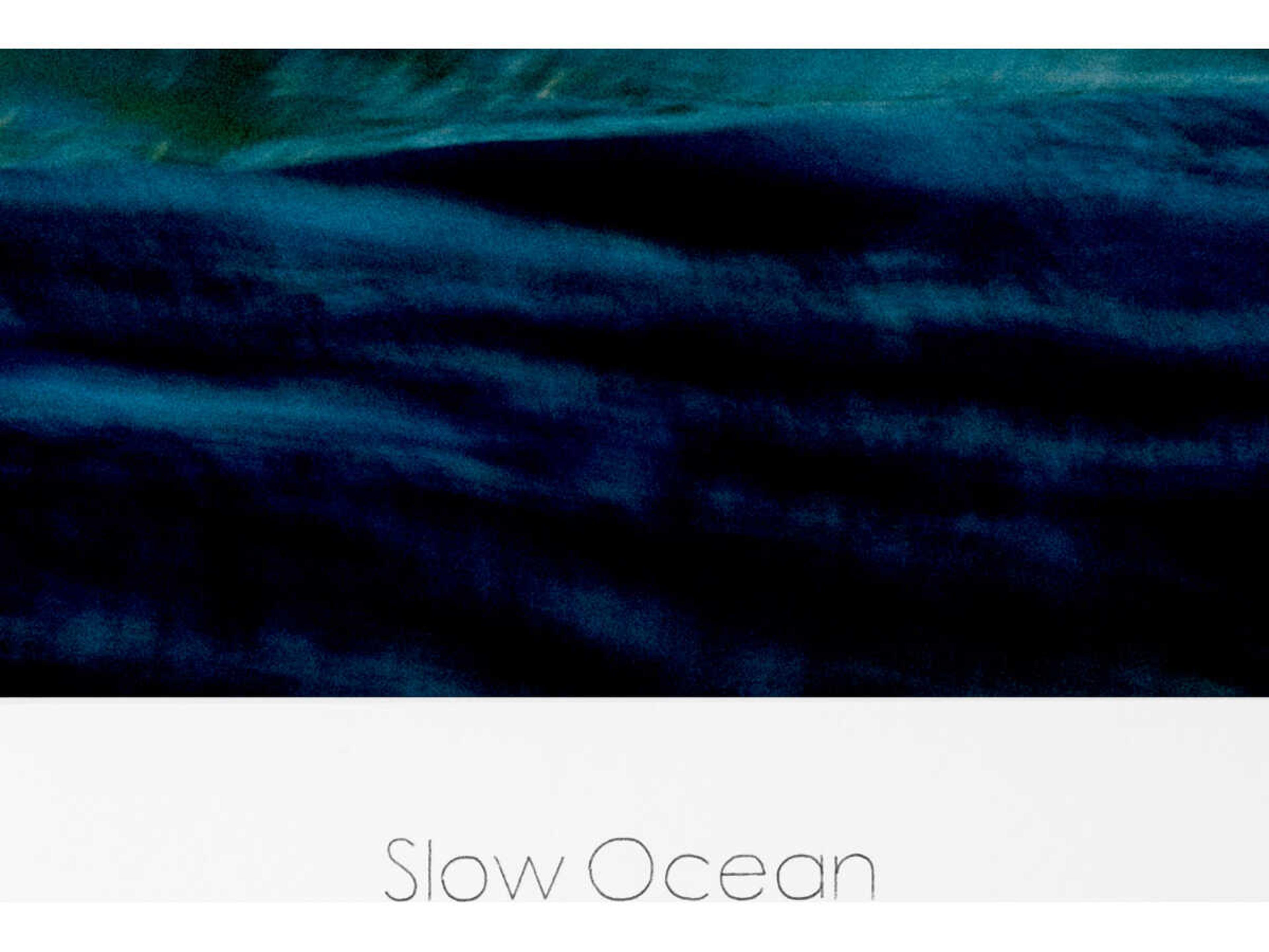 Eichholtz Ocean Print Philippe Vogelenzang Slow