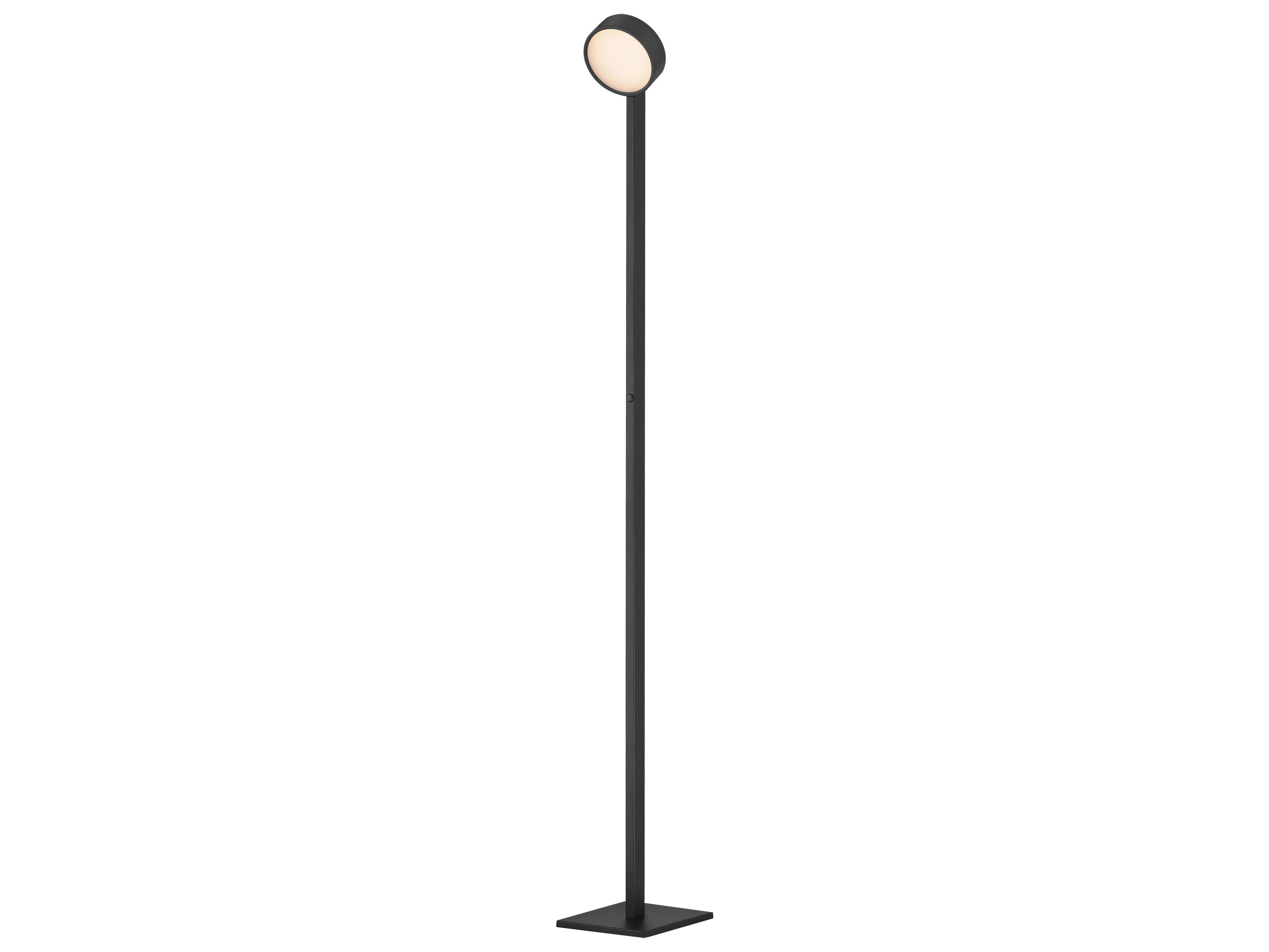 Embrace Black Floor Lamp