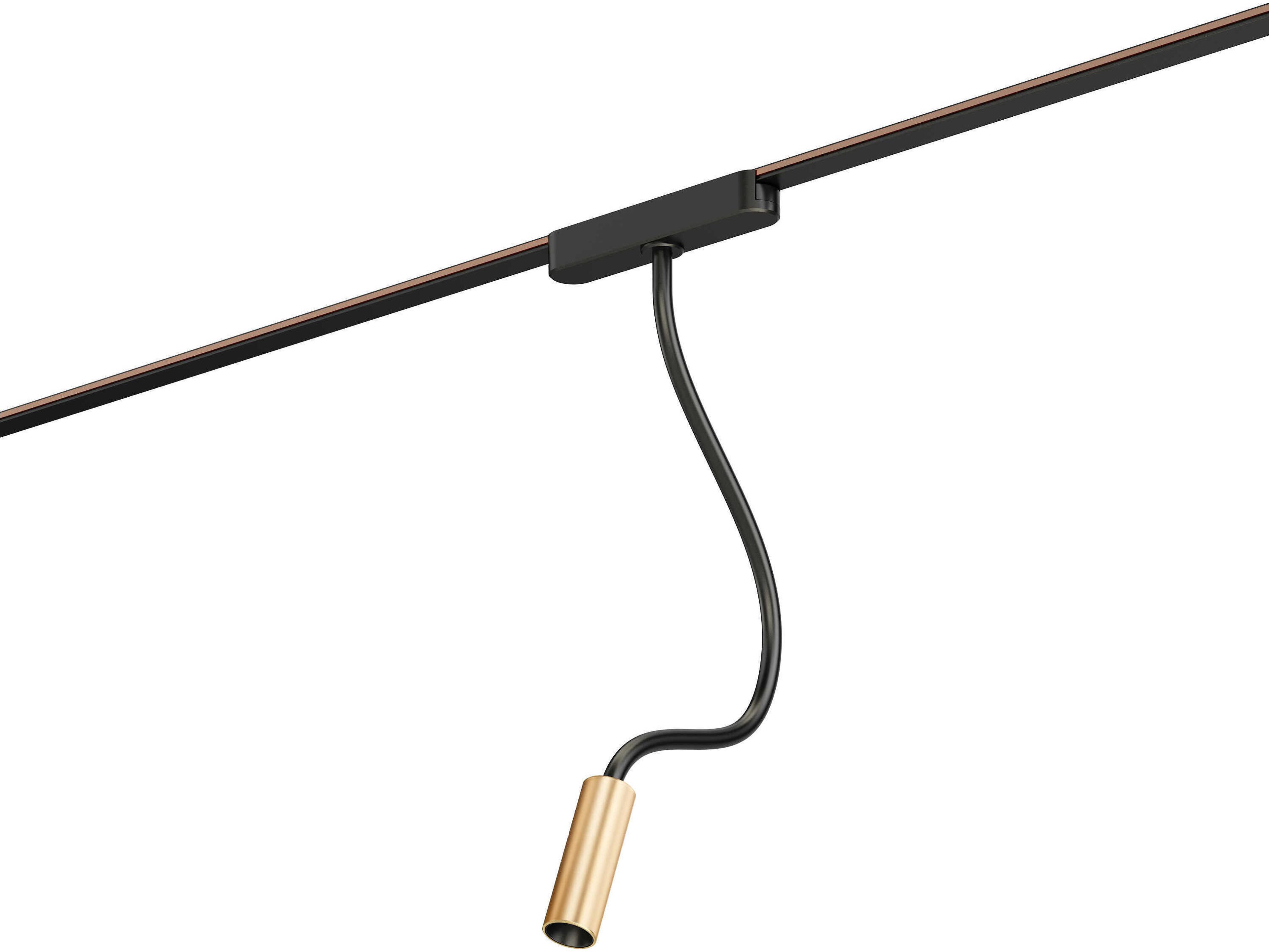 ET2 1-Light Black Gold Cylinder Spot Light