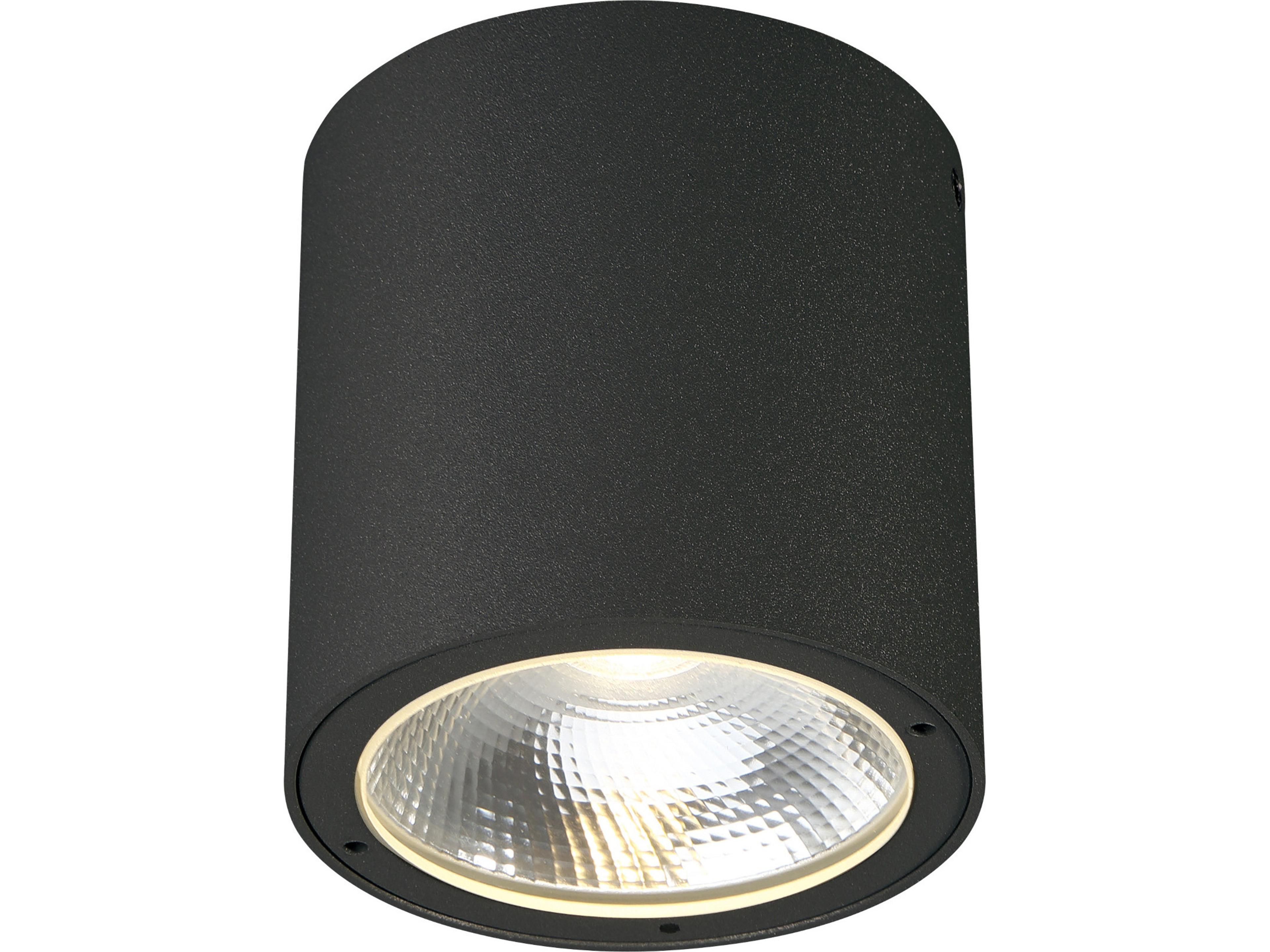 Sky Outdoor Ceiling Light