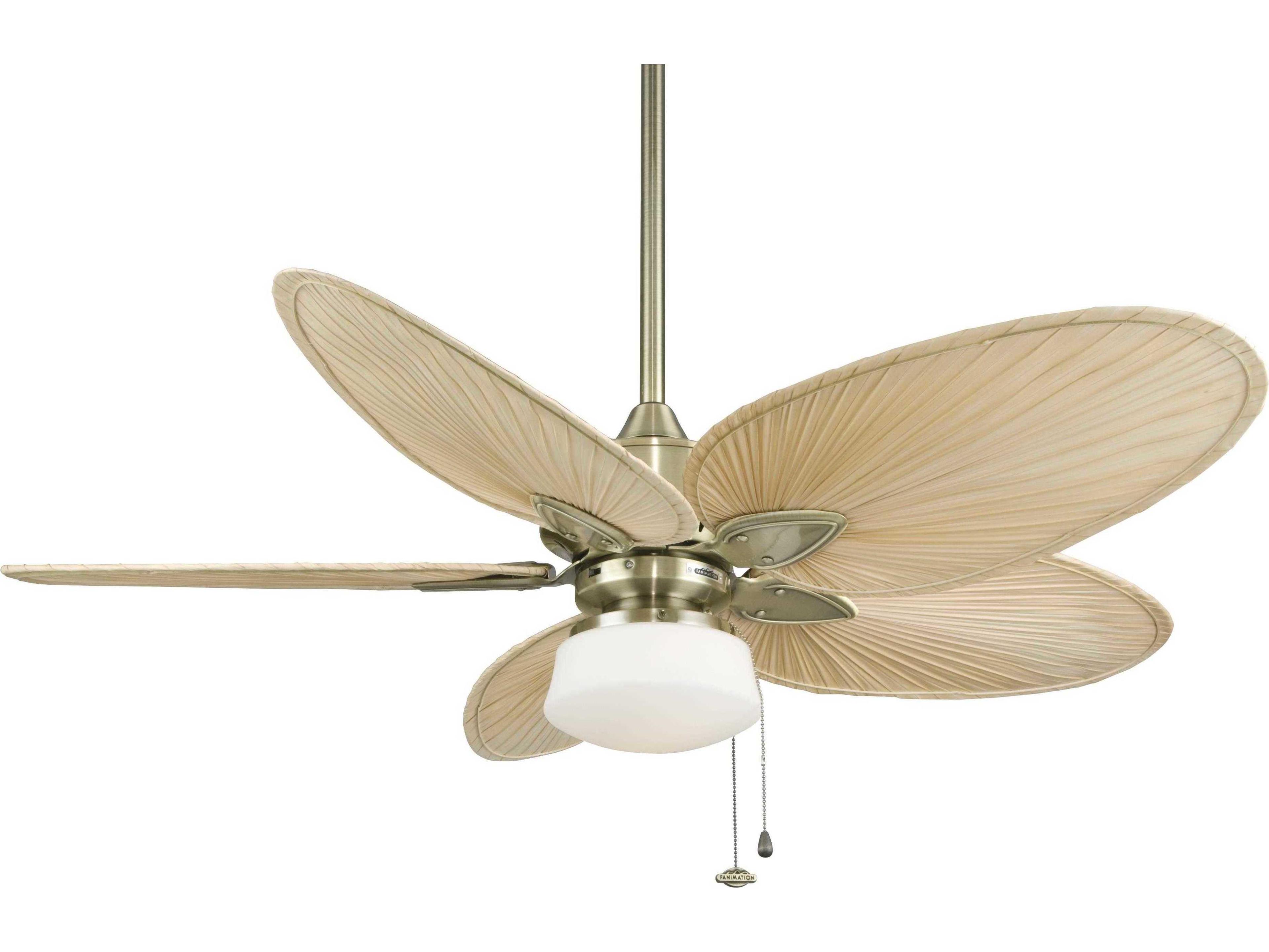Fanimation Windpointe Outdoor Ceiling Fans