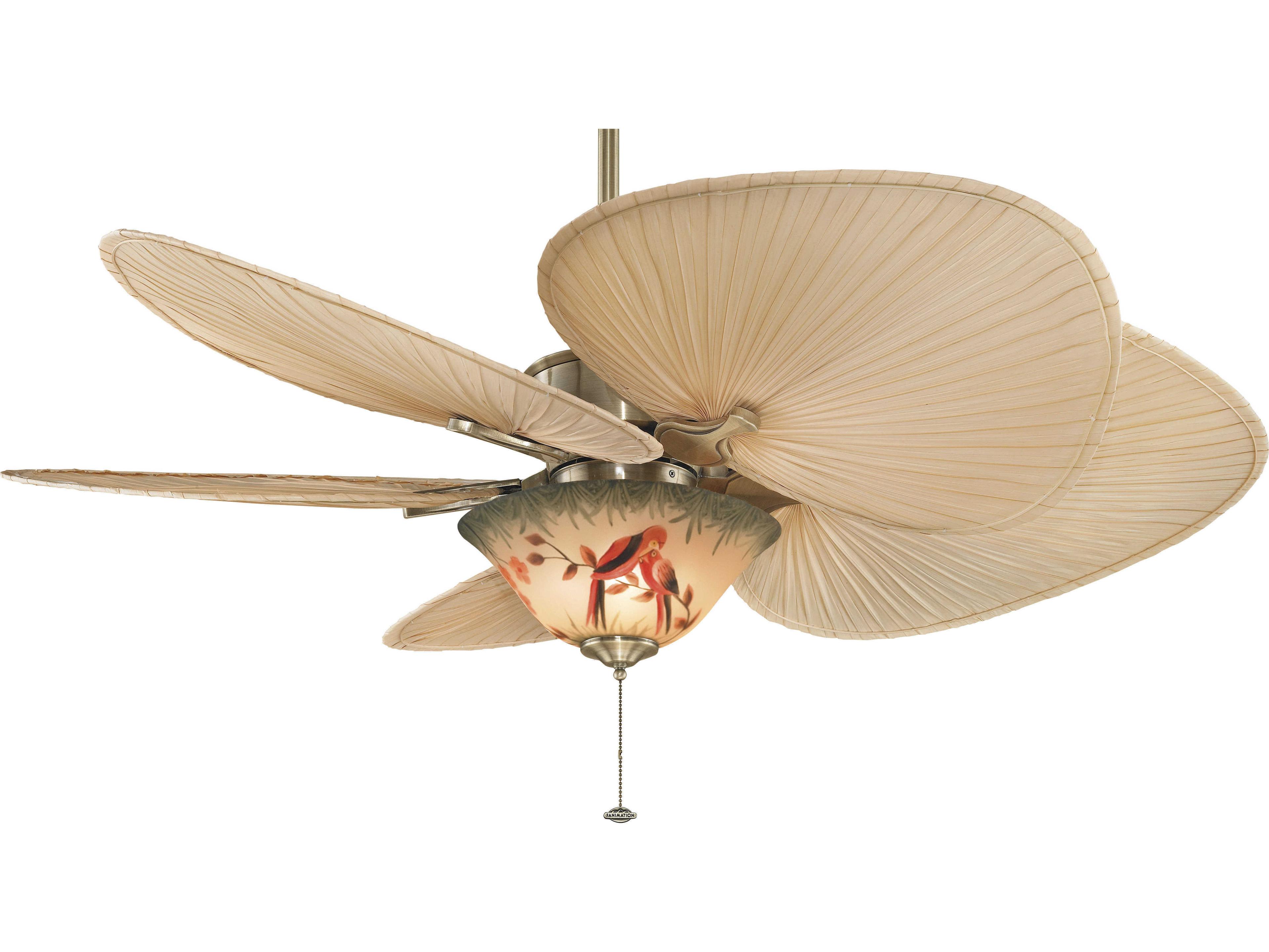 Fanimation Palm 22" Oval Fan Blade Set of 5