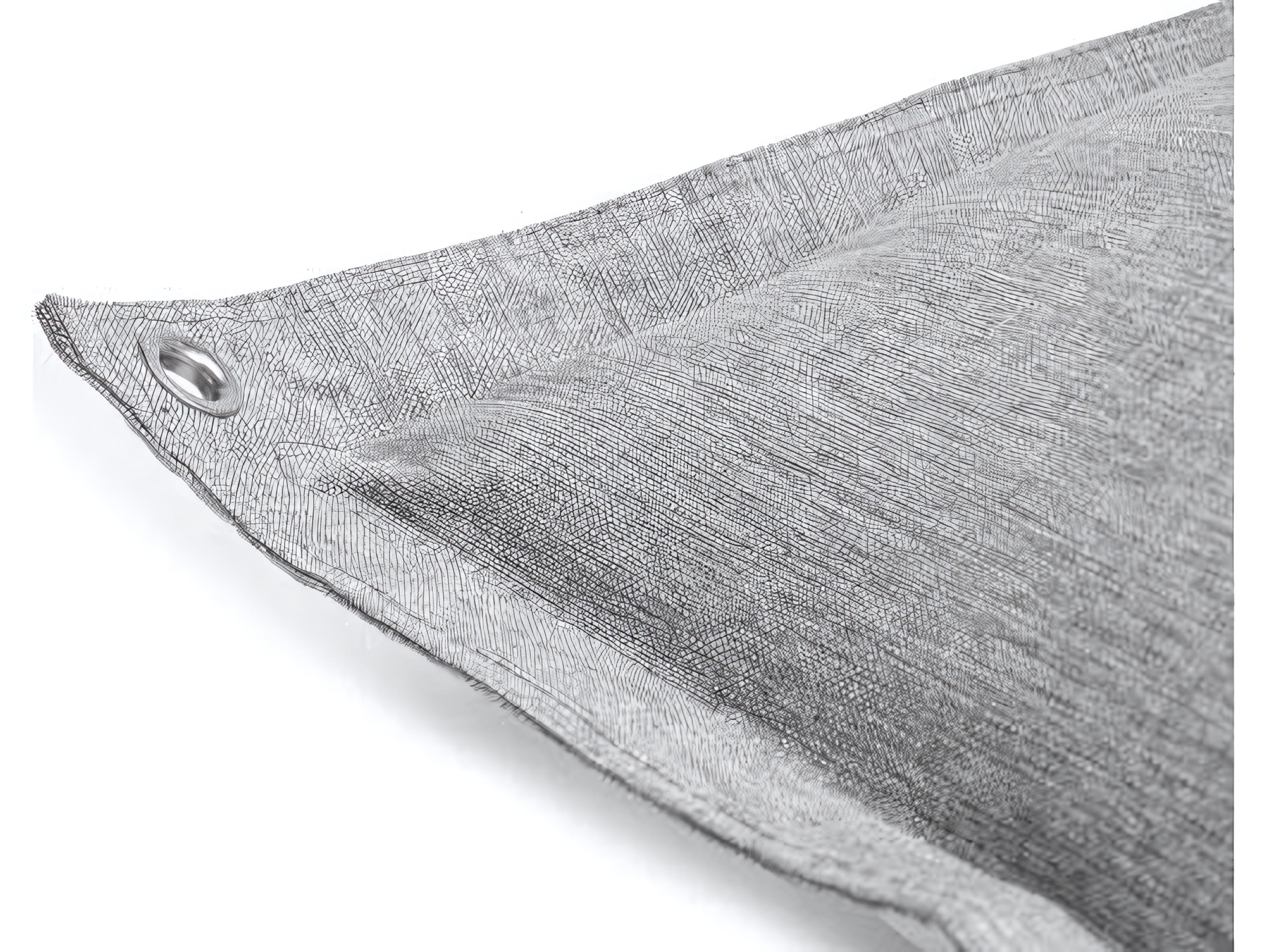 Fatboy Outdoor Original Floatzac Floating Bean Bag Lounge Chair in Rock Grey