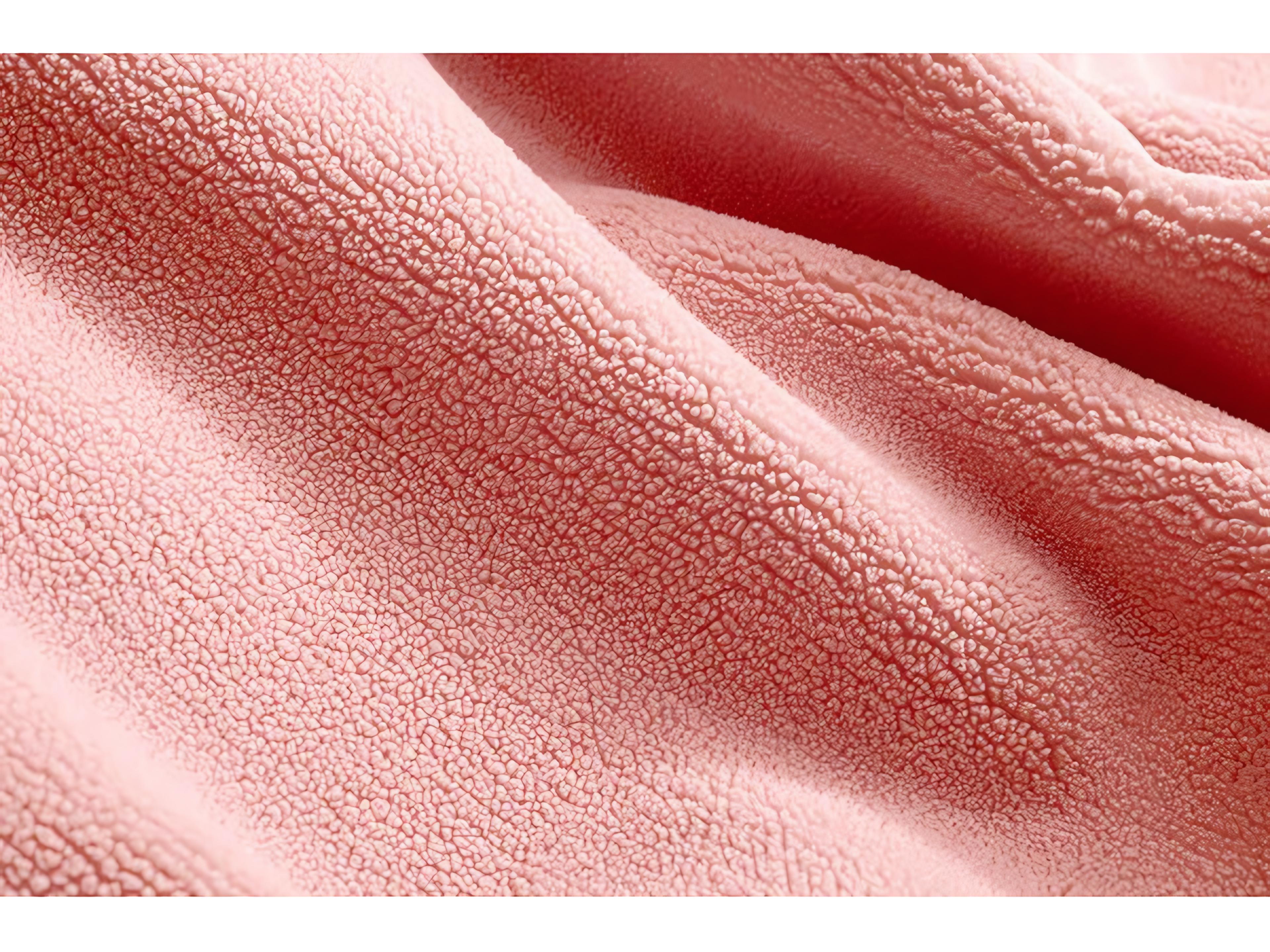 Fatboy Original Slim Teddy Bean Bag Chair in Cheeky Pink