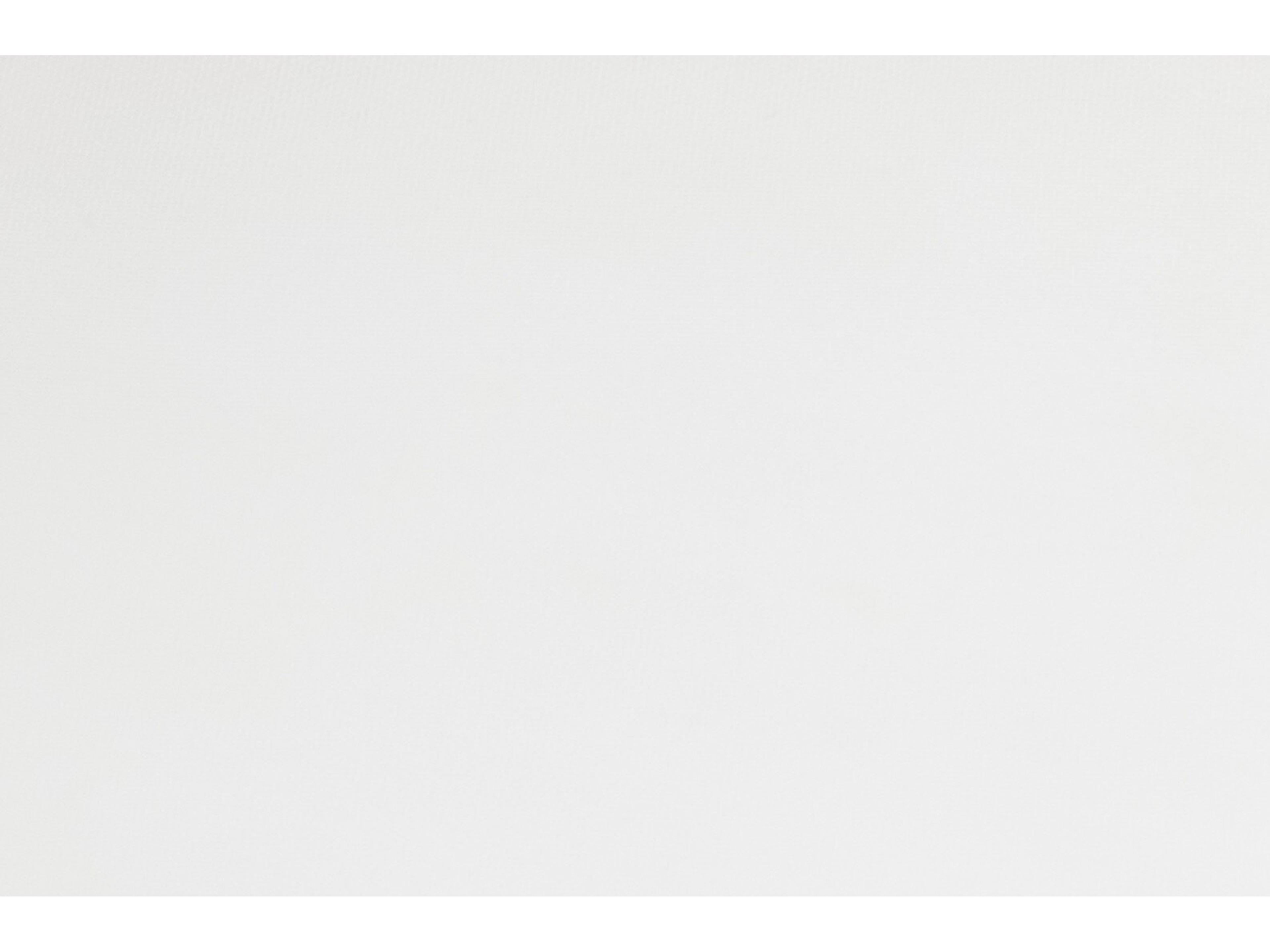 Four Hands Grass Roots Bandera Dining Chair W/ Cushion-White