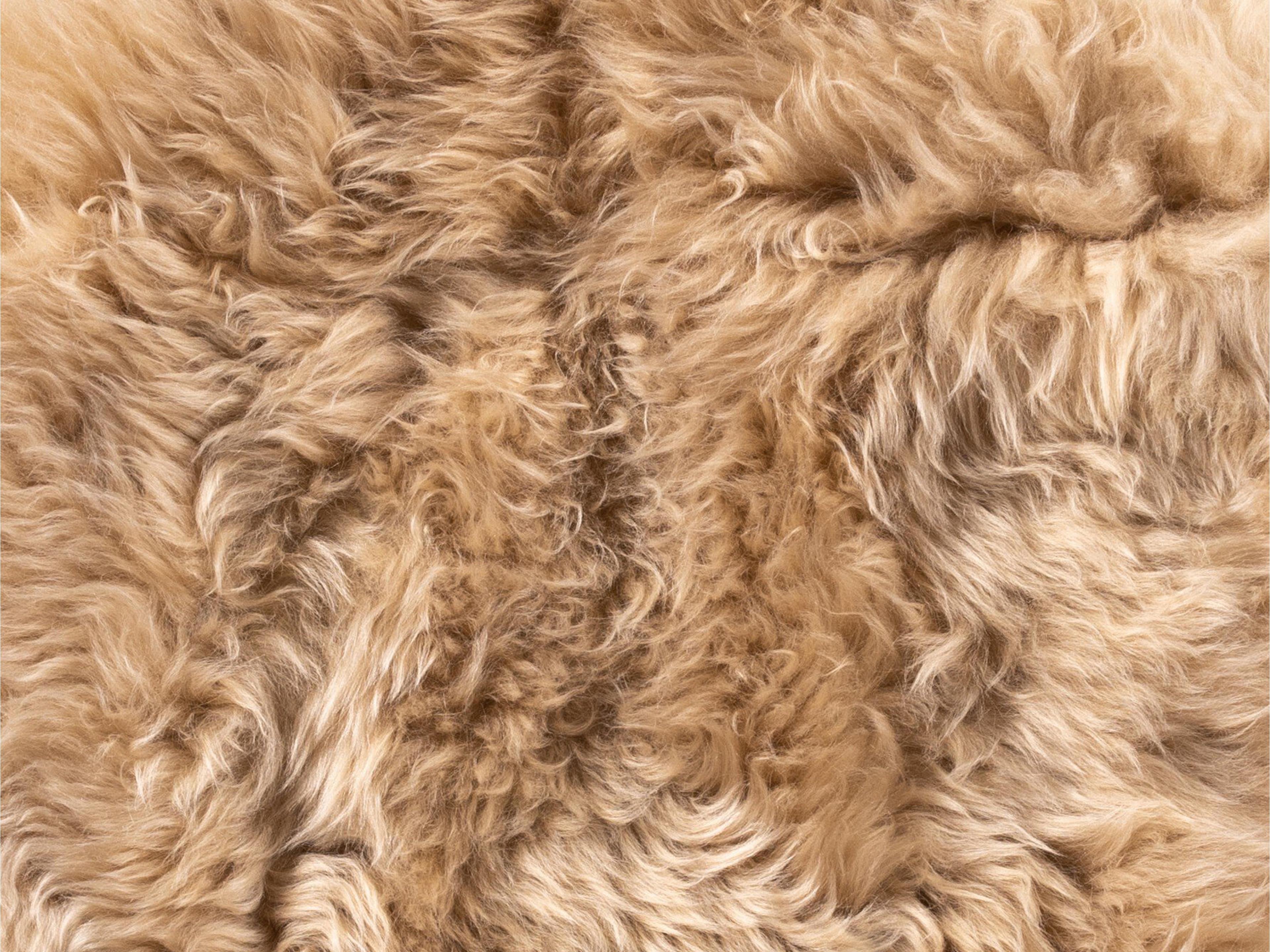 Four Hands Mateo Area Rug