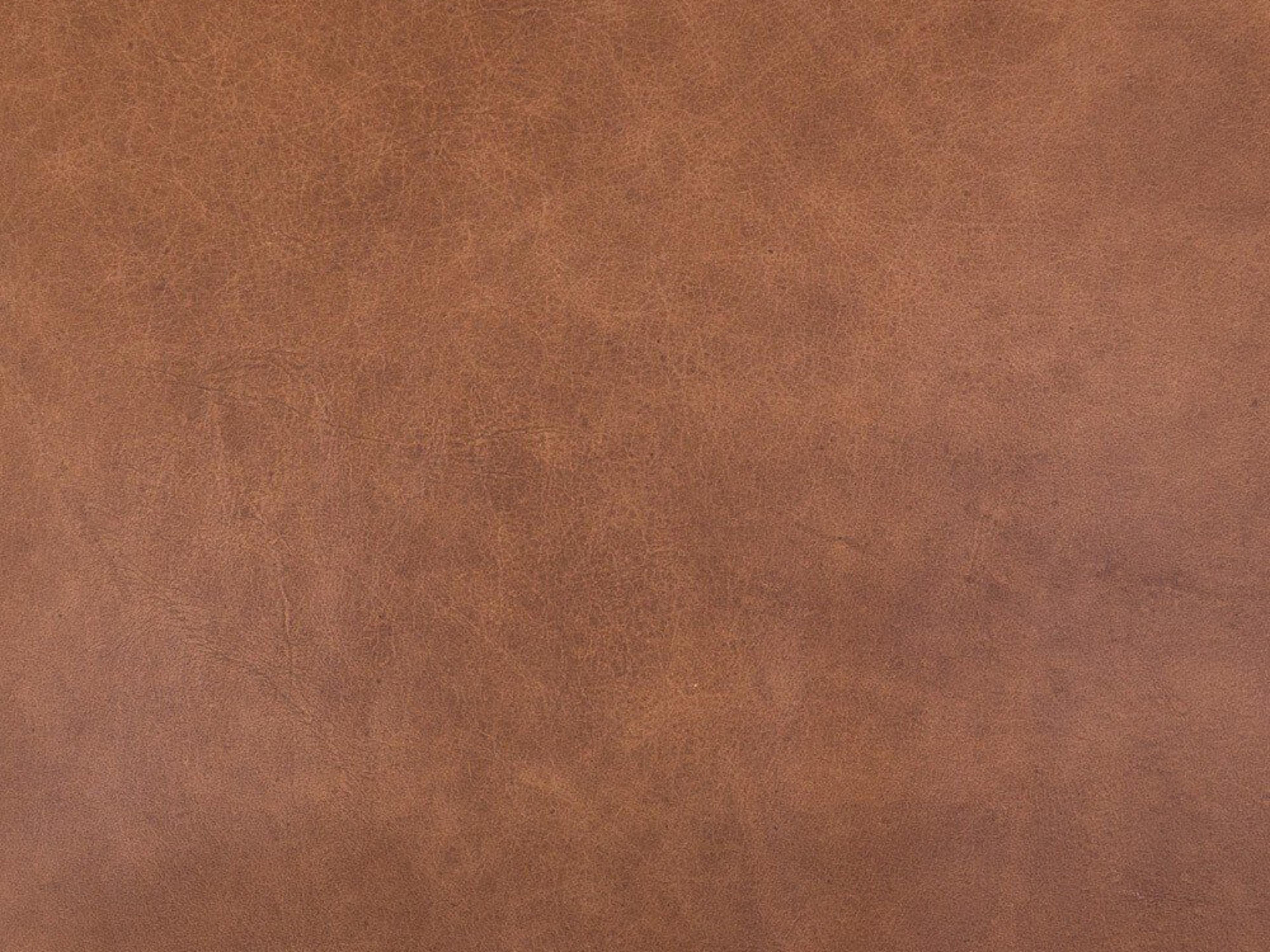 Four Hands Ashford Braden Brandy Leather Accent Chair