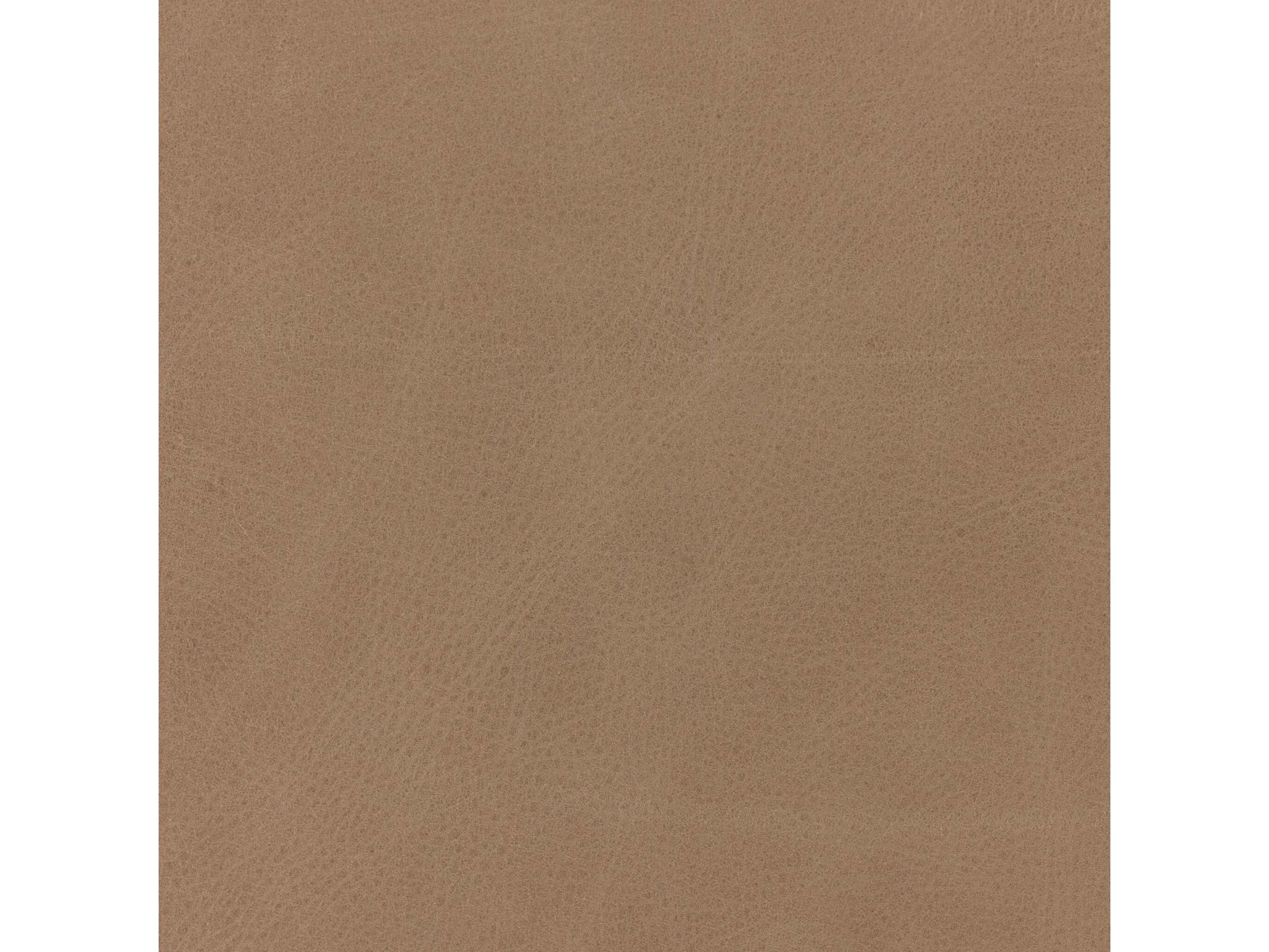 Four Hands Grayson Fae Palermo Nude Leather Dining Chair