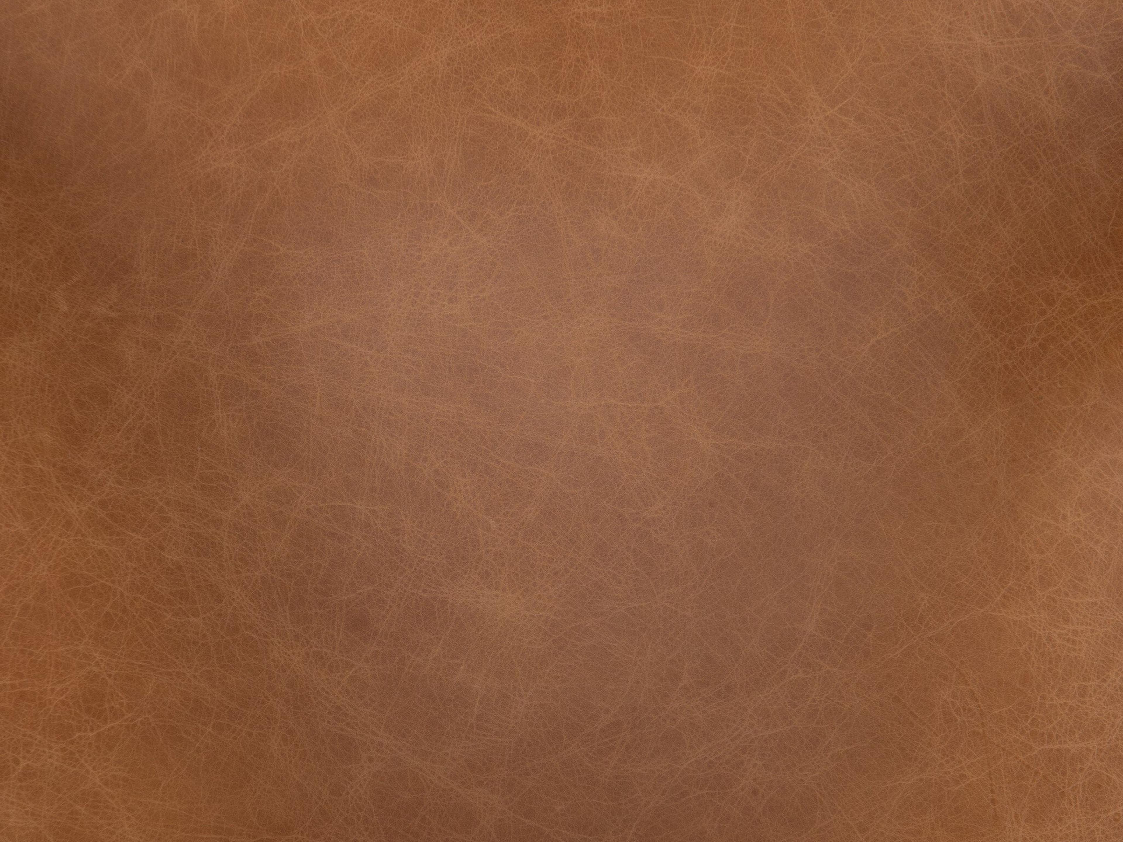 Four Hands Townsend Hawkins Leather Brown Upholstered Arm Dining Chair