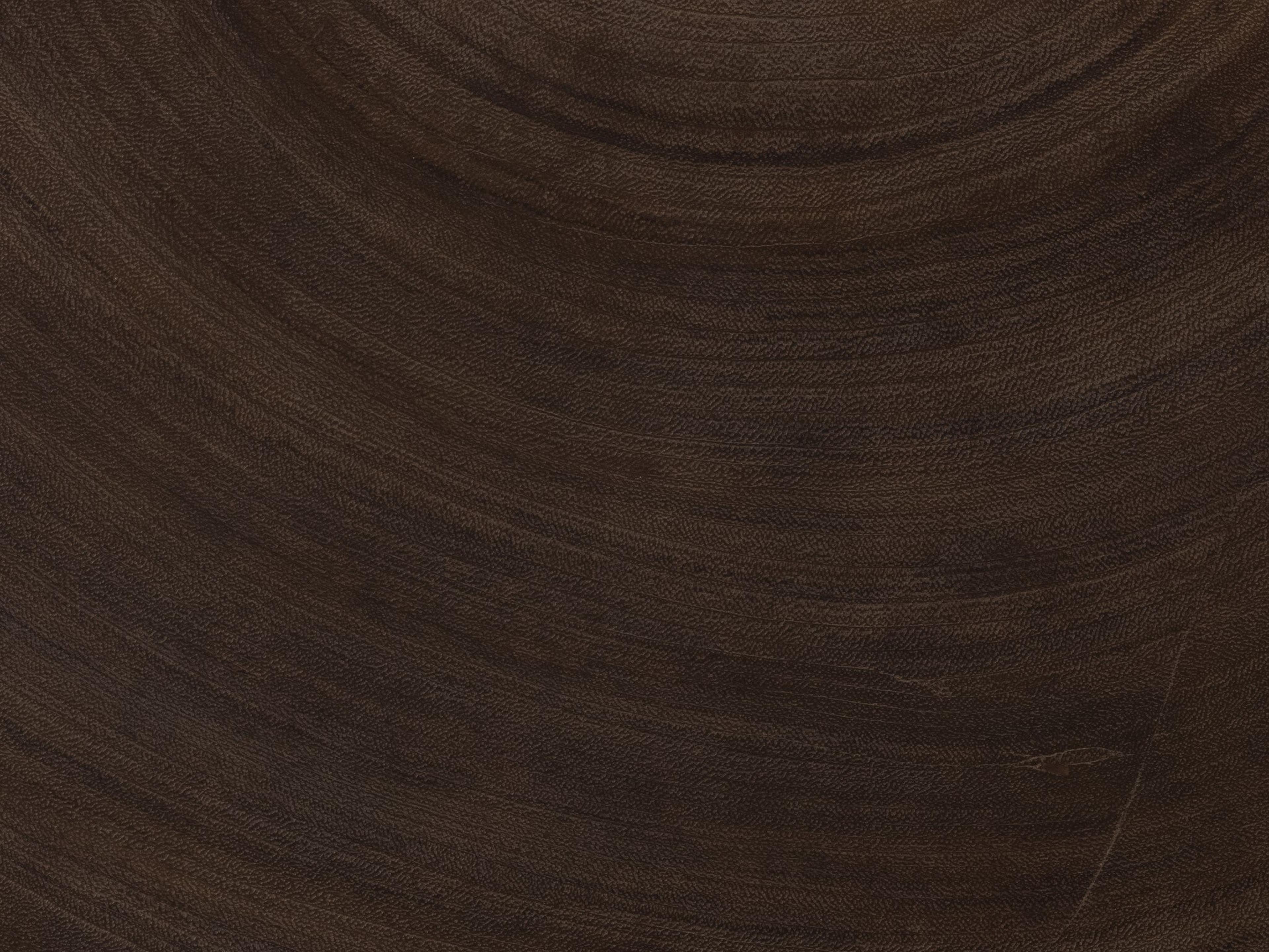 Four Hands Wesson Avett Wood Gunmetal Smoked Guanacaste Oyster Coffee Table