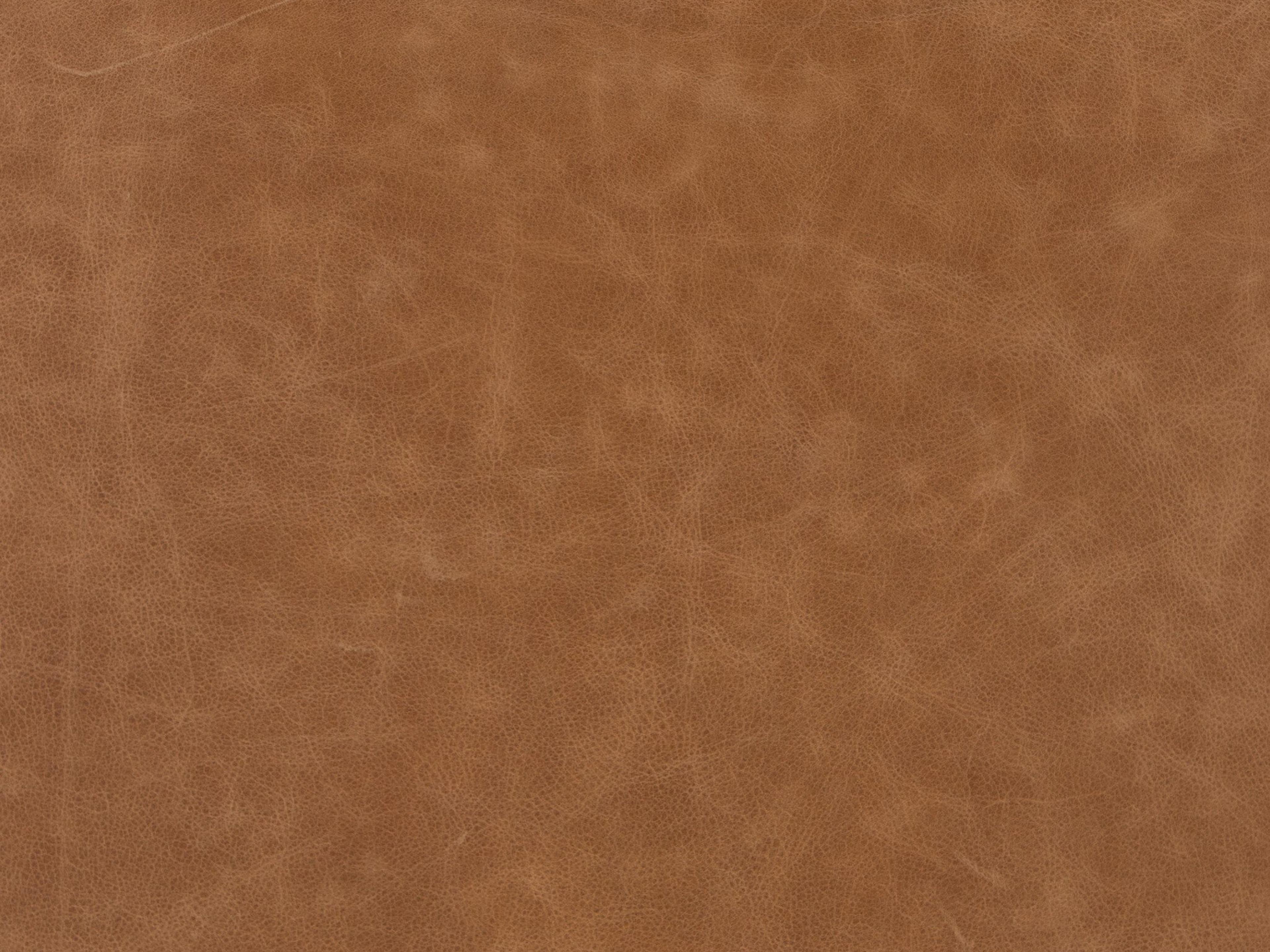 Four Hands Allston Imani Leather Brown Upholstered Side Dining Chair