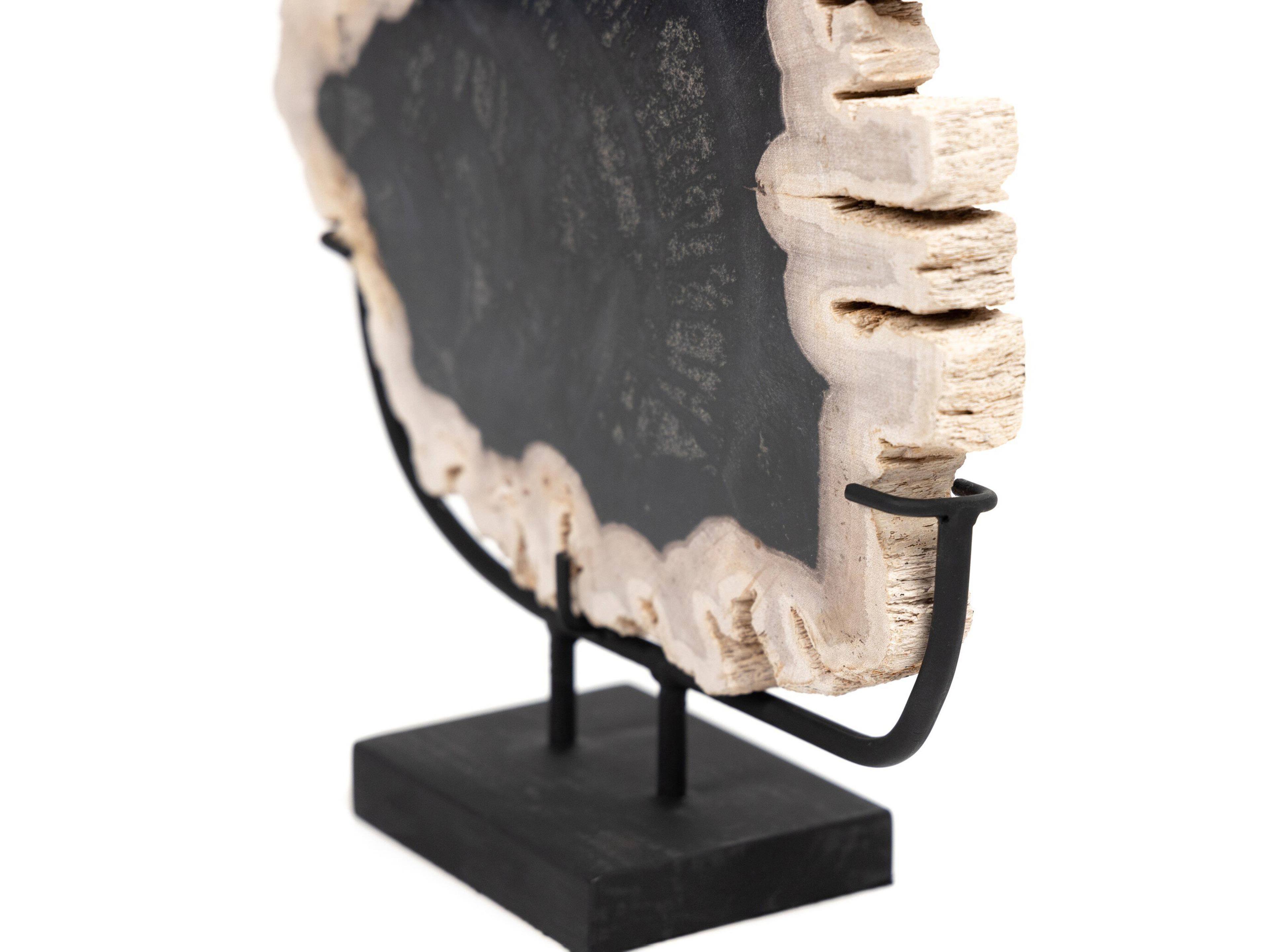 Globetrotter  Petrified Wood Matte Black Iron Sculpture