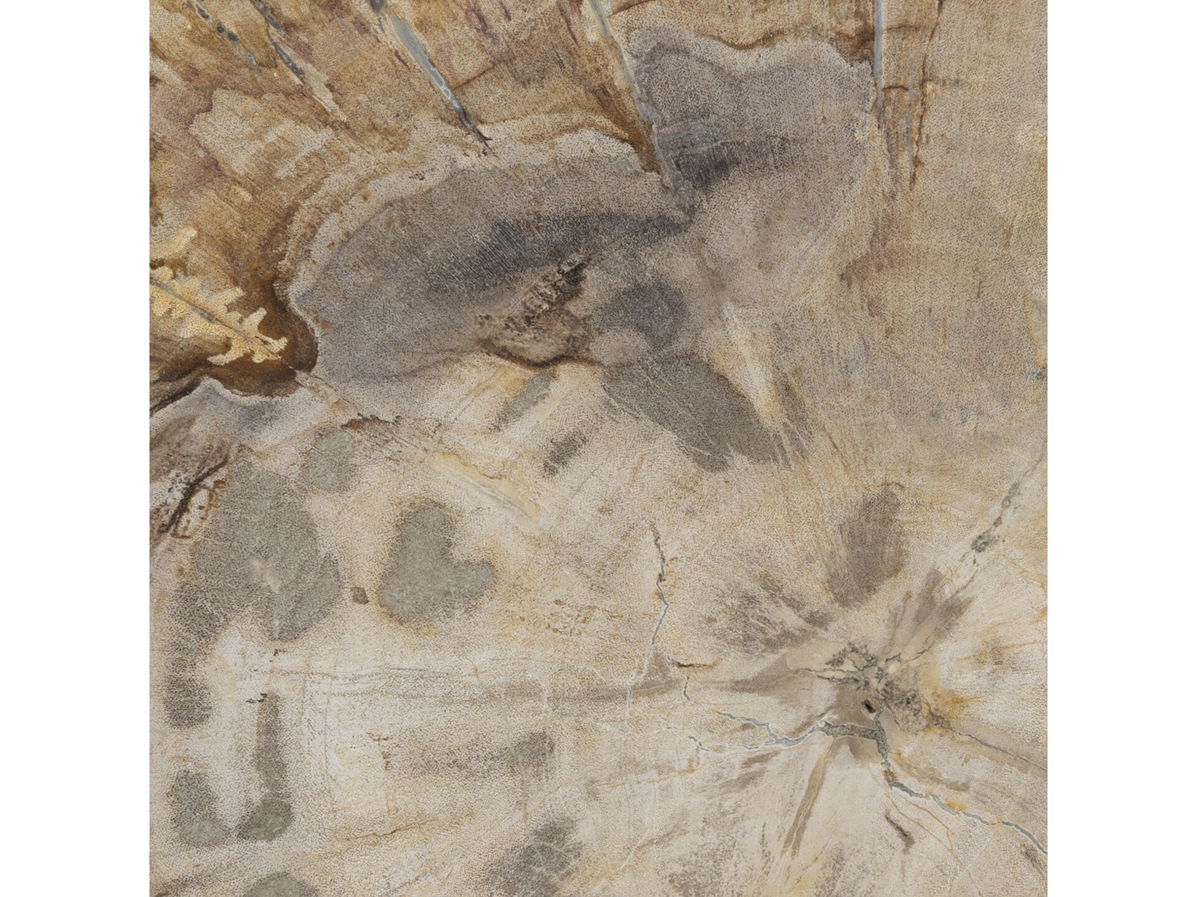 Four Hands Palu Jonty 9" Round Textured Brass Light Petrified Wood End Table