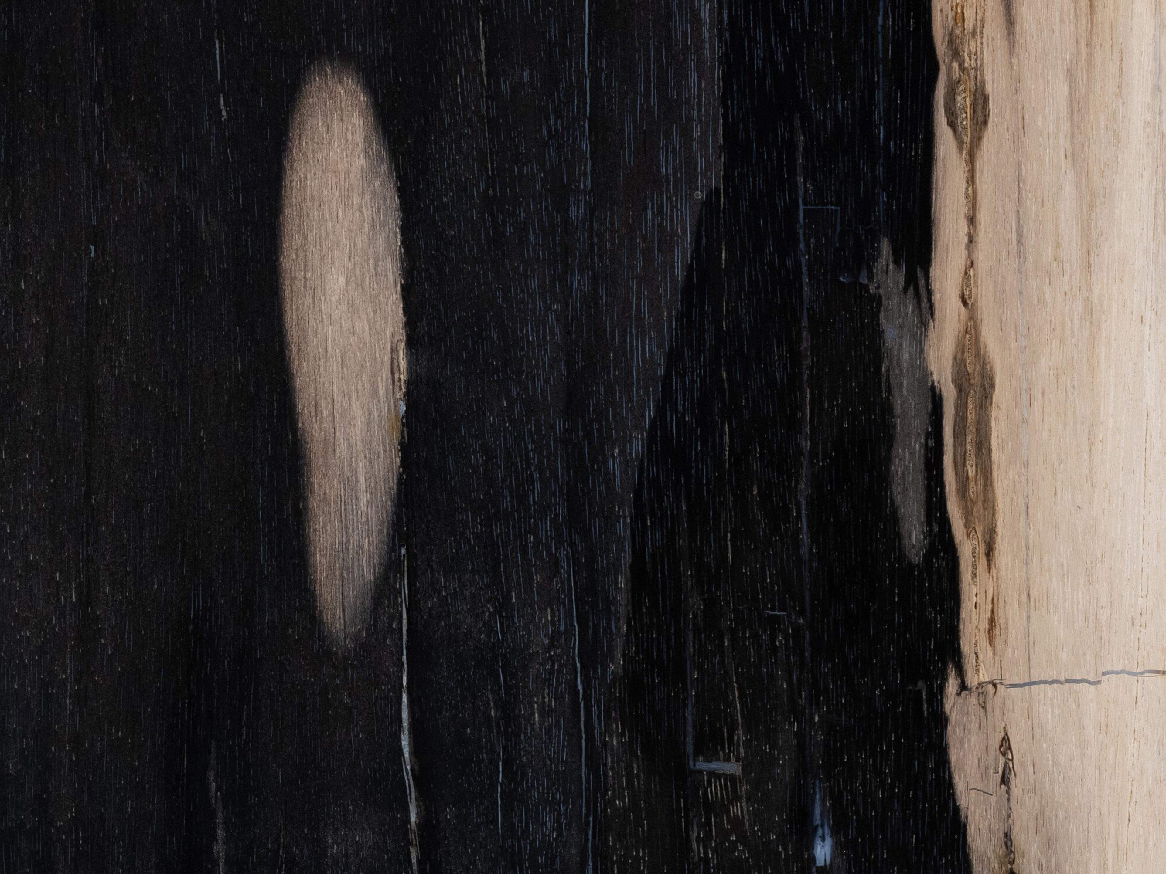 Four Hands Palu Tig Rectangular Textured Brass Dark Petrified Wood End Table