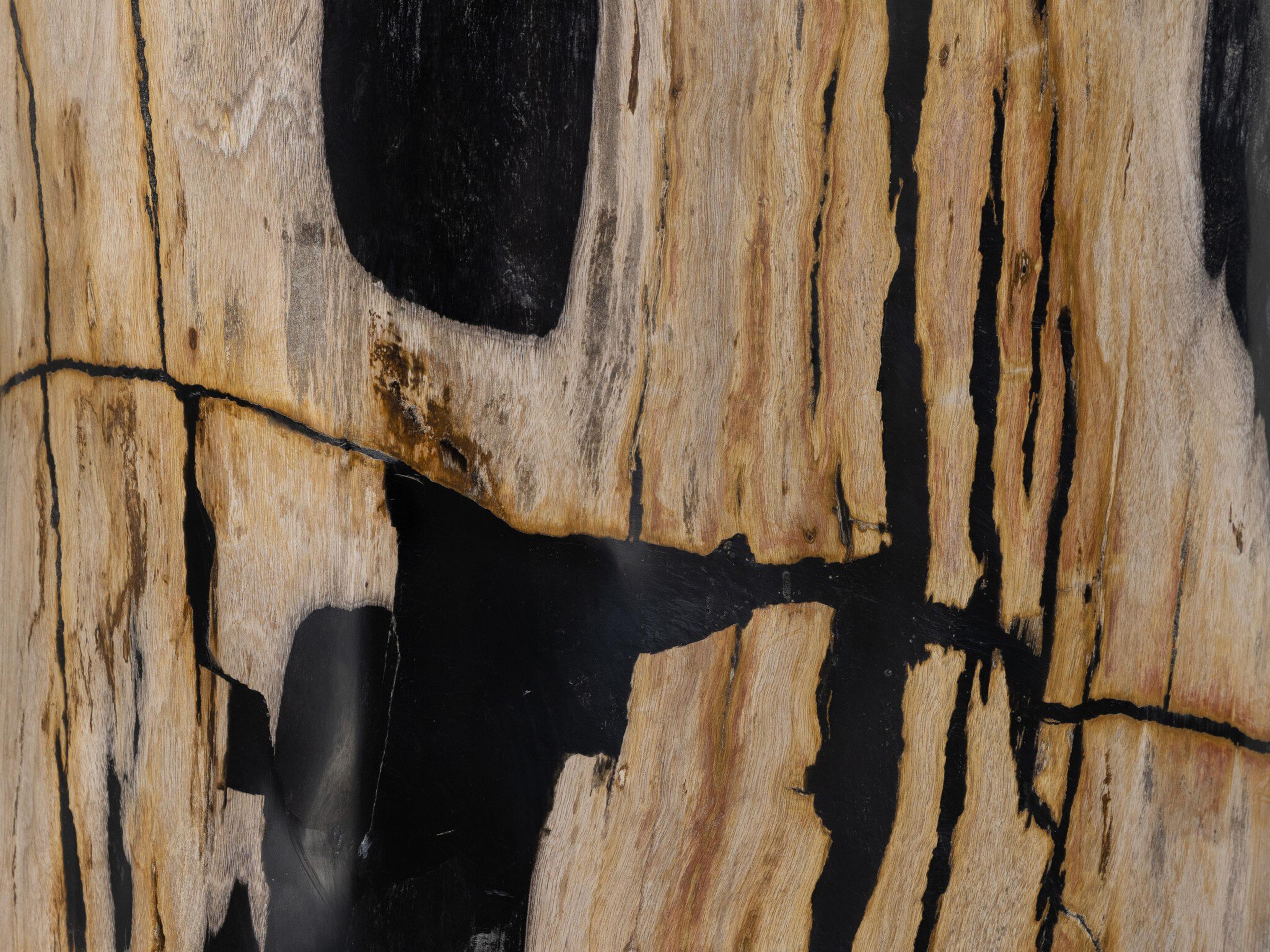 Luxecor Globetrotter Kos Light Petrified Wood Round End Table