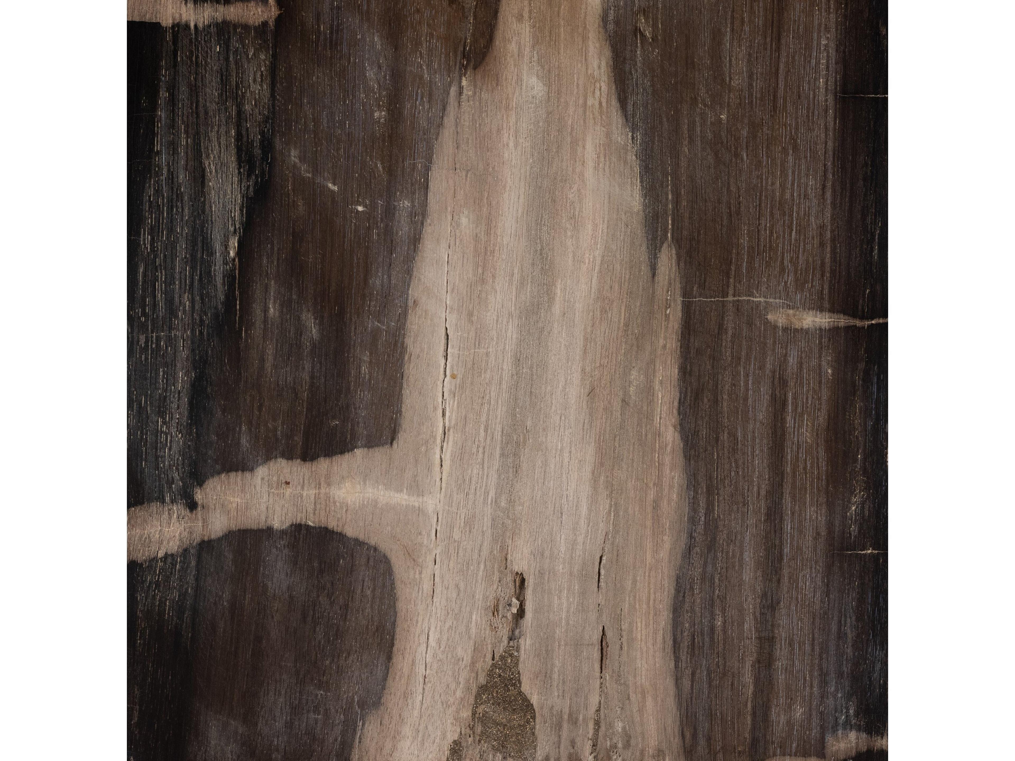 Four Hands Palu Buck Square Dark Petrified Wood End Table