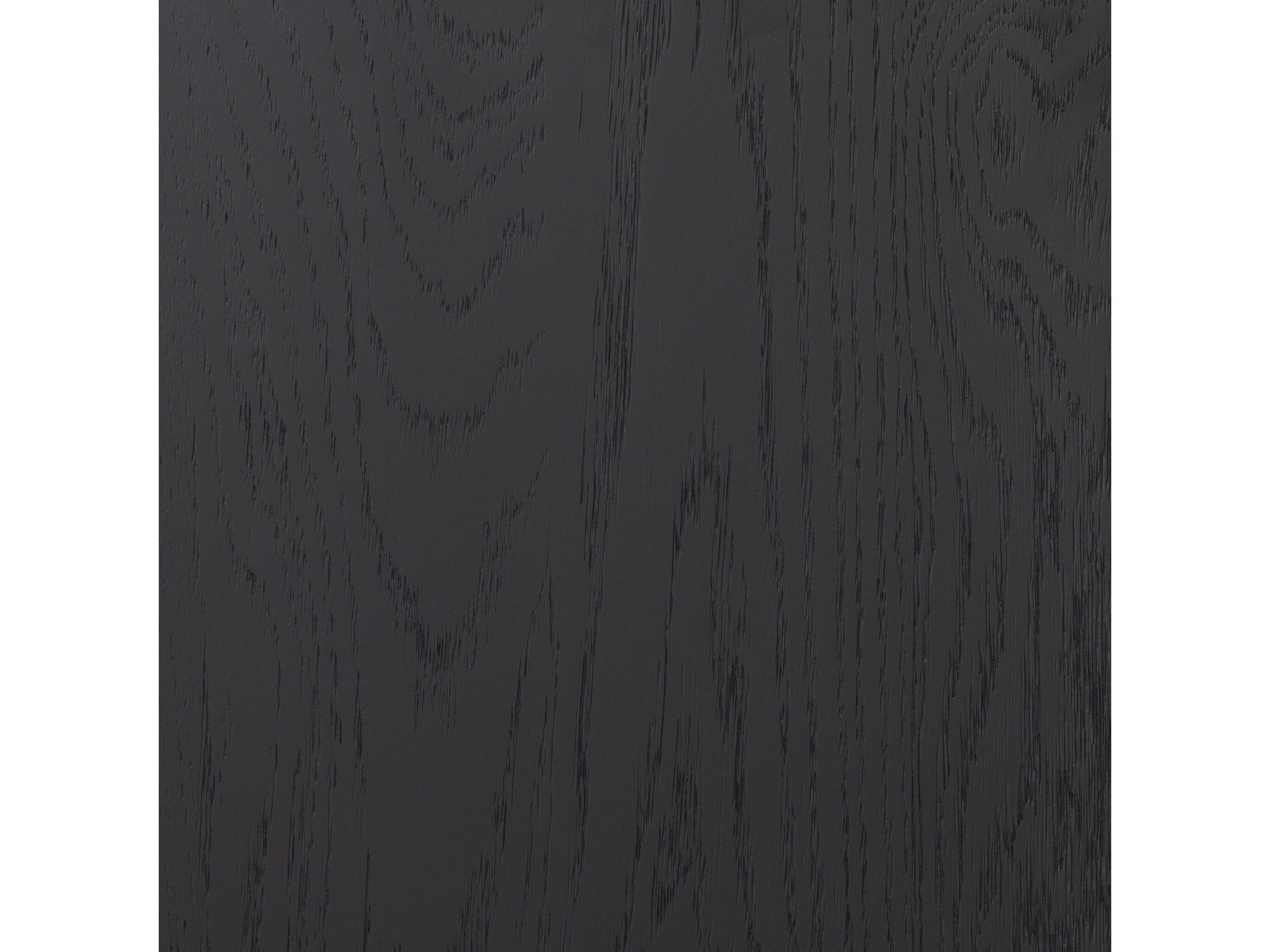 Four Hands Irondale Drifted Black Oak Wood Accent Chest