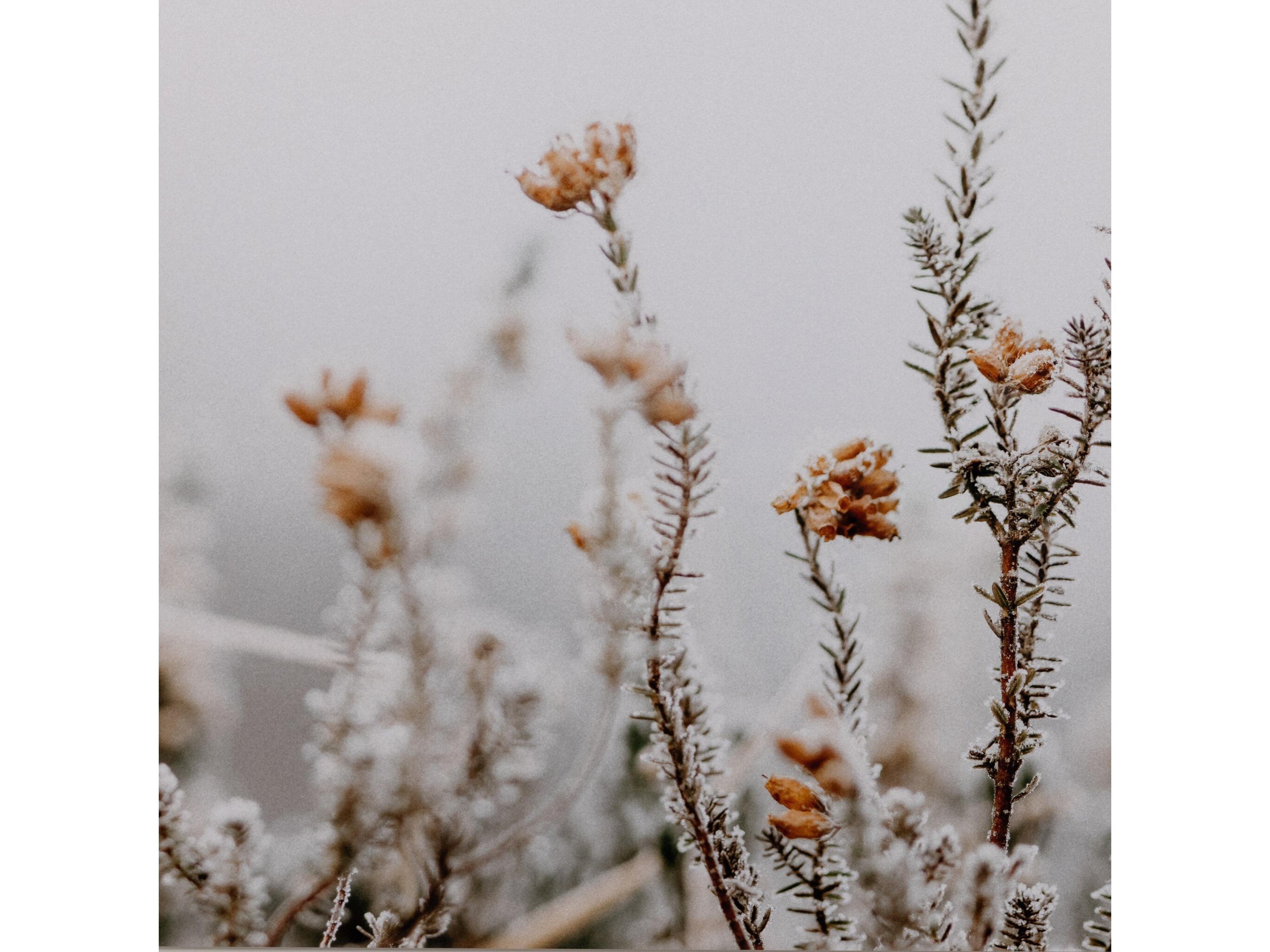 Four Hands Art Studio In The Details Ii By Annie Spratt Wall Art