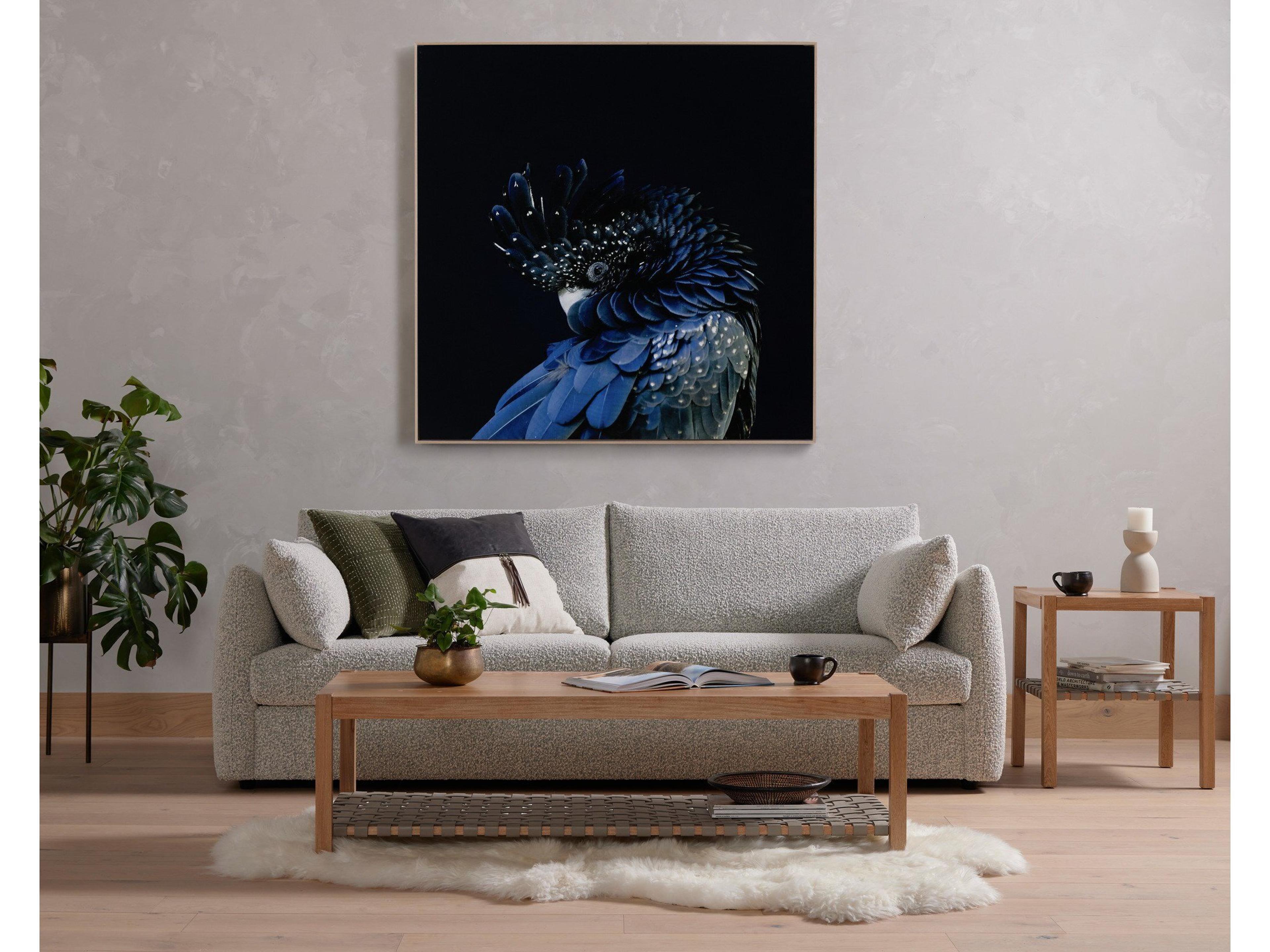 Four Hands Art Studio Red-Tailed Black Cockatoo By Getty Image Wall Art