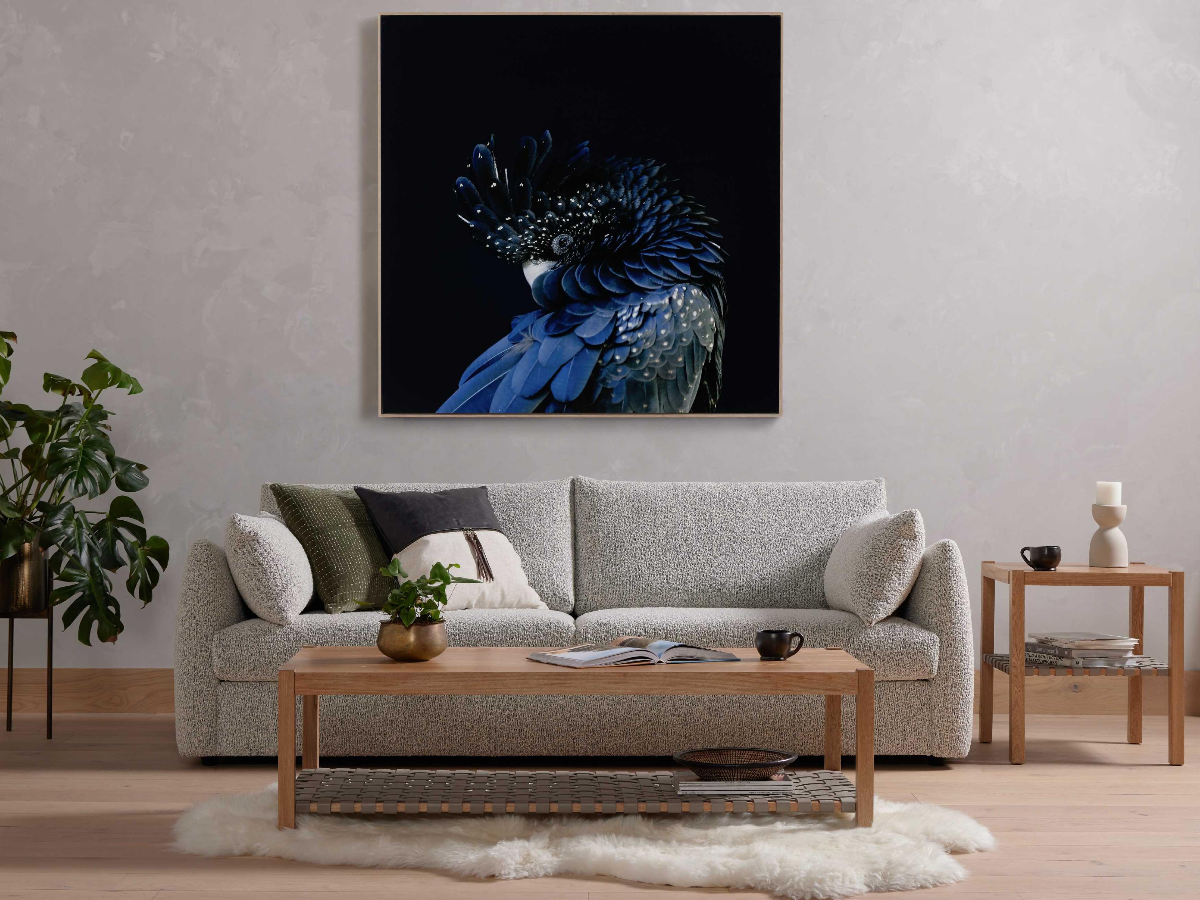 Four Hands Art Studio Red-Tailed Black Cockatoo By Getty Image Wall Art