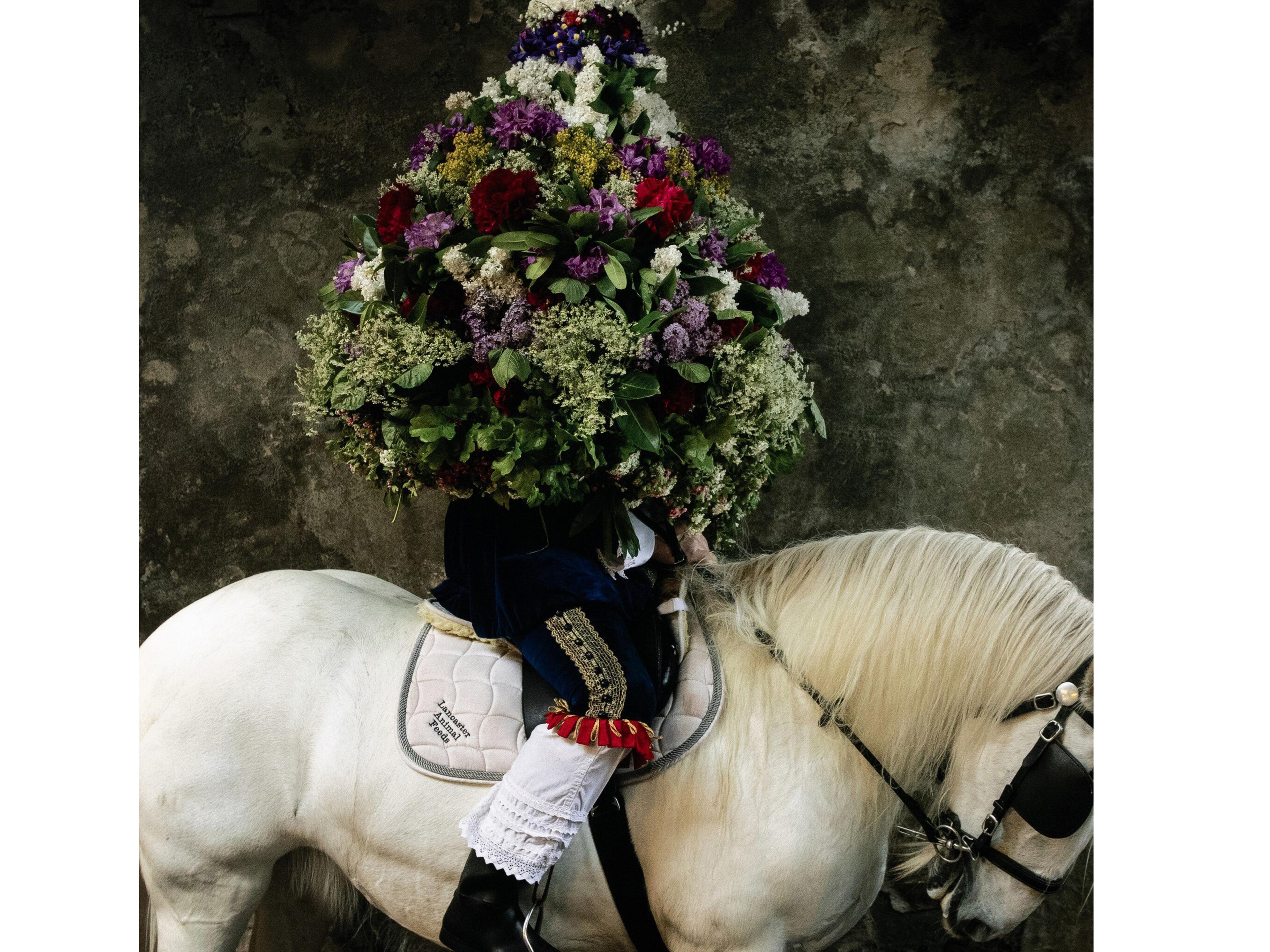 Four Hands Art Studio Garland Day By Getty Images Wall Art