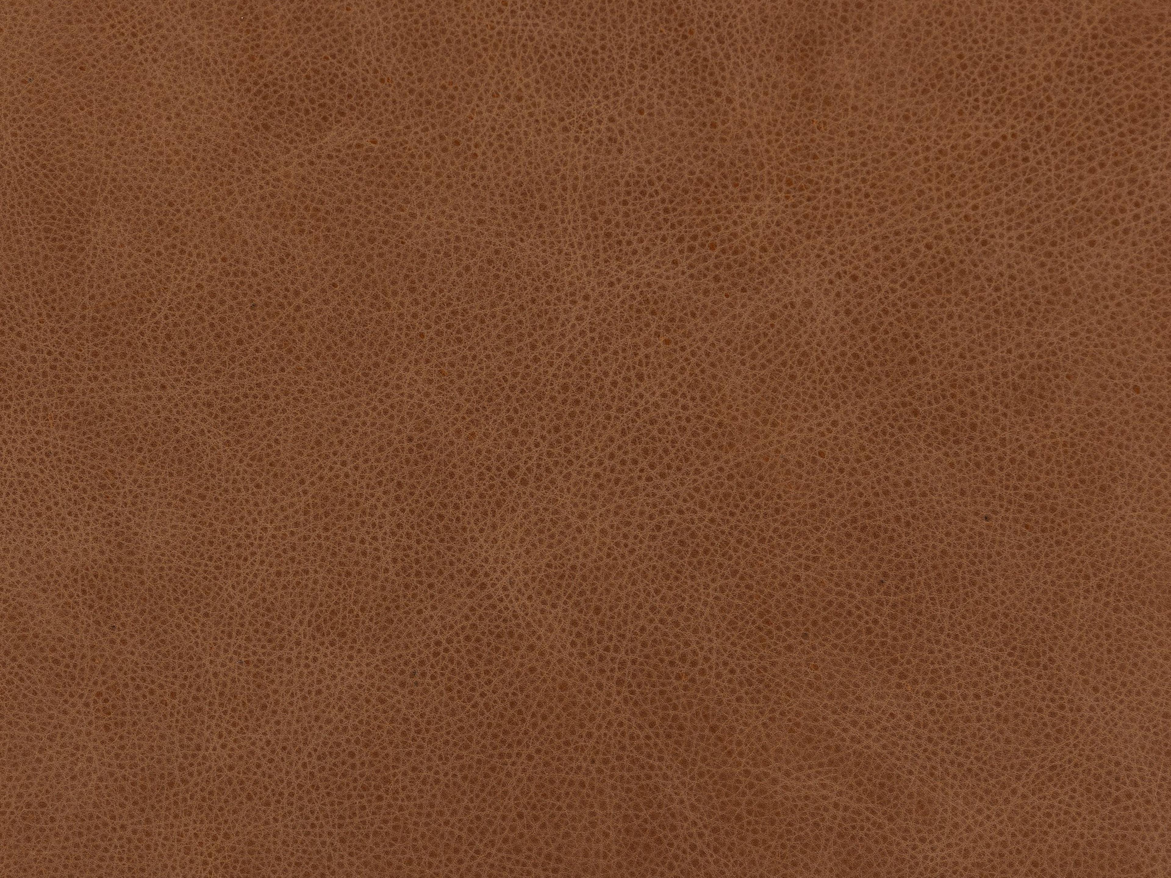 Four Hands Kensington Wellborn Palermo Cognac Sofa