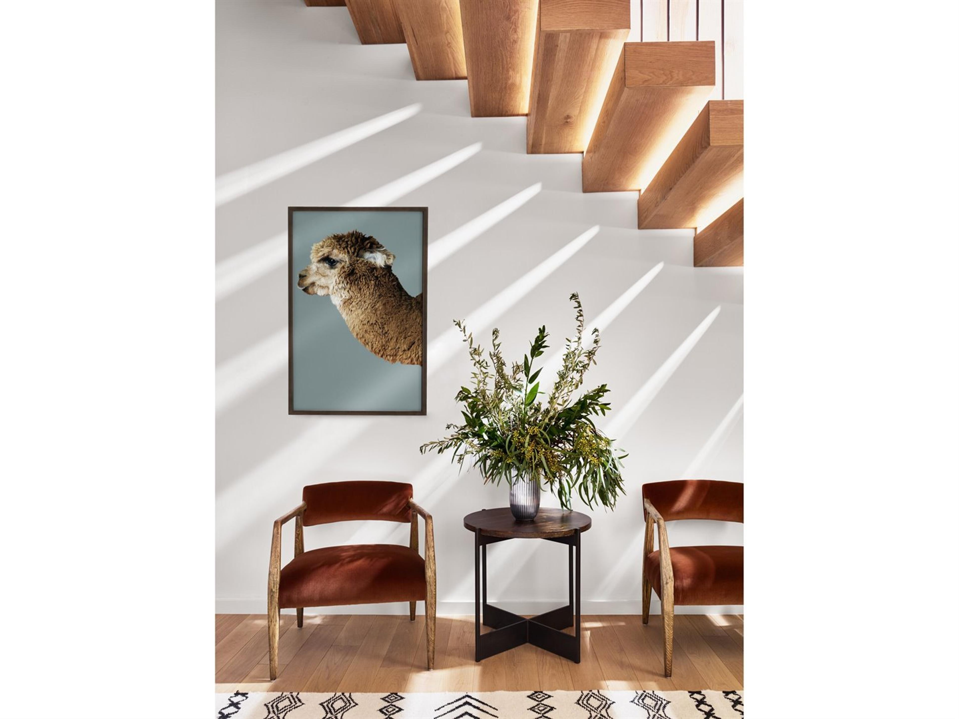 Abbott Entertainment Set