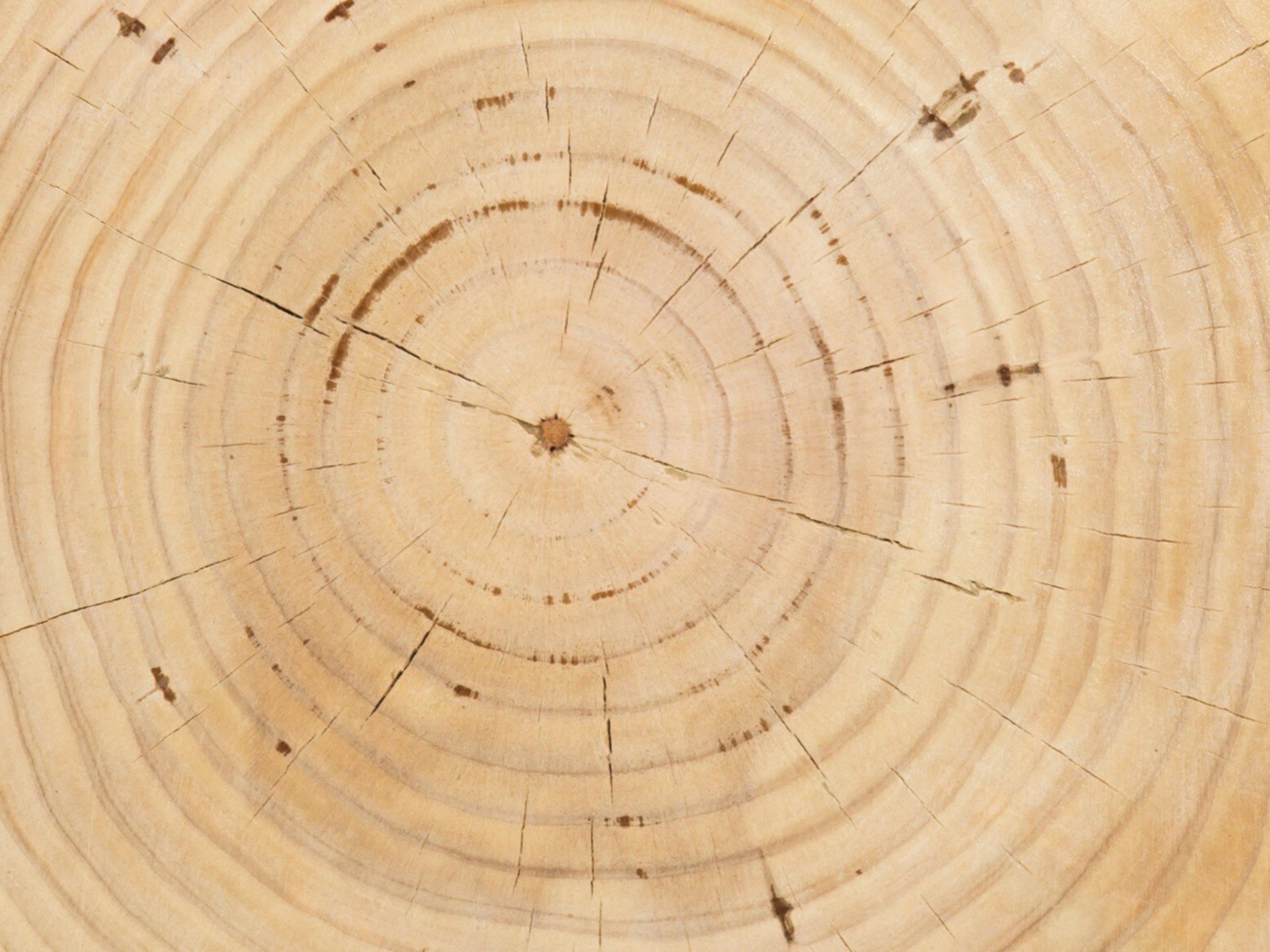 Four Hands Bishop Aliza End Table