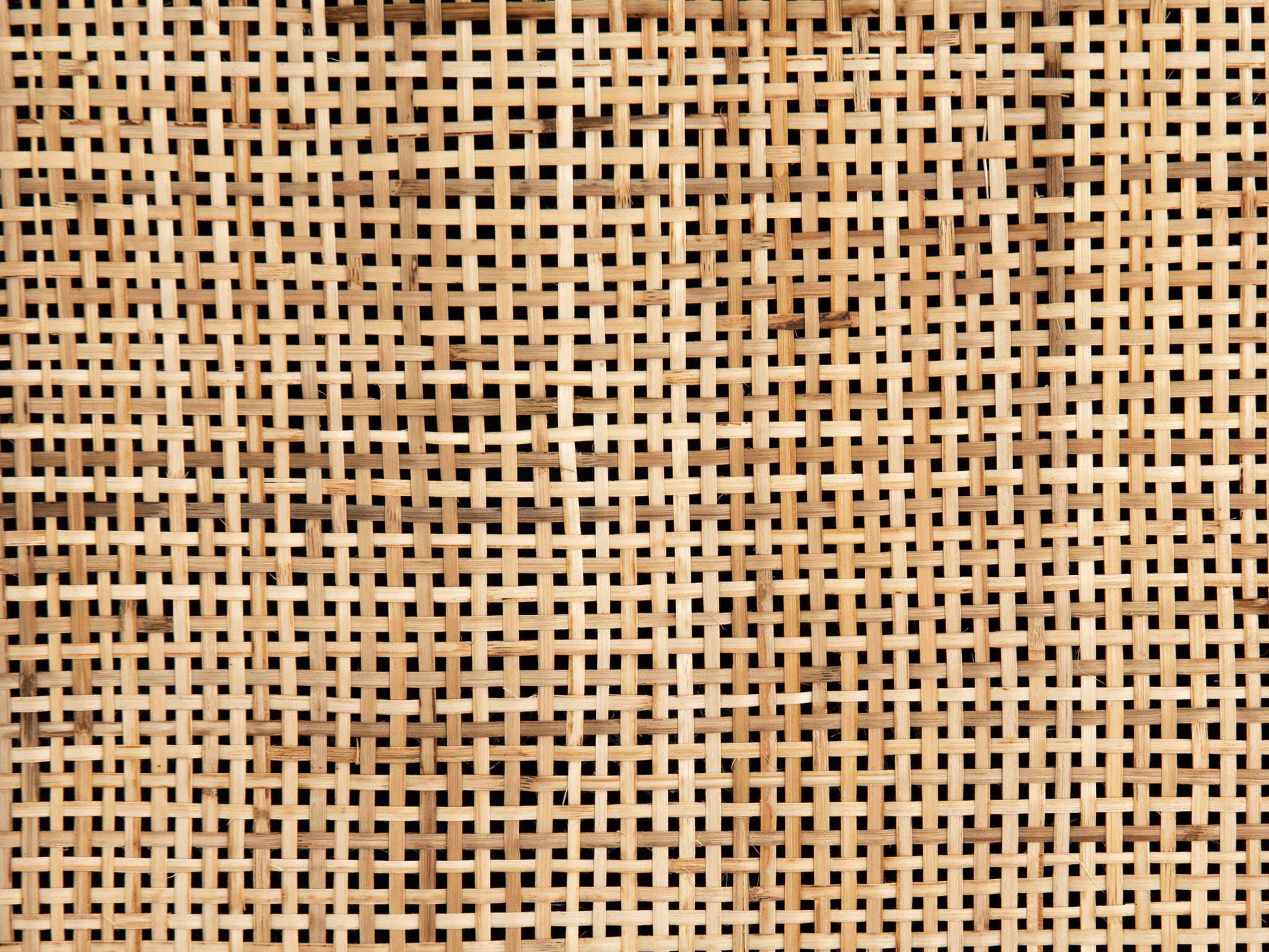 Four Hands Prescott Caprice Bookcase