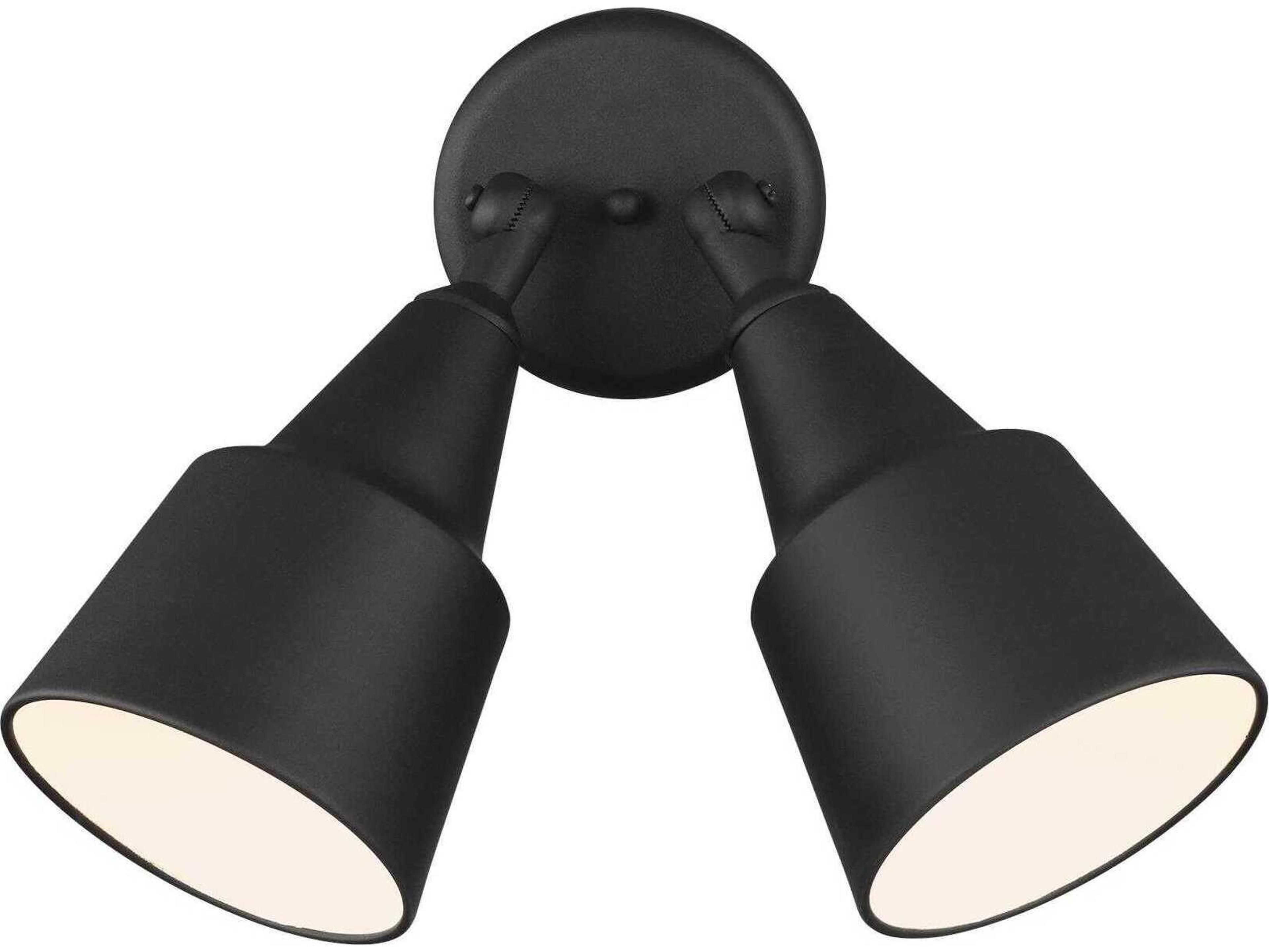 Flood Light 2-Light Outdoor Wall