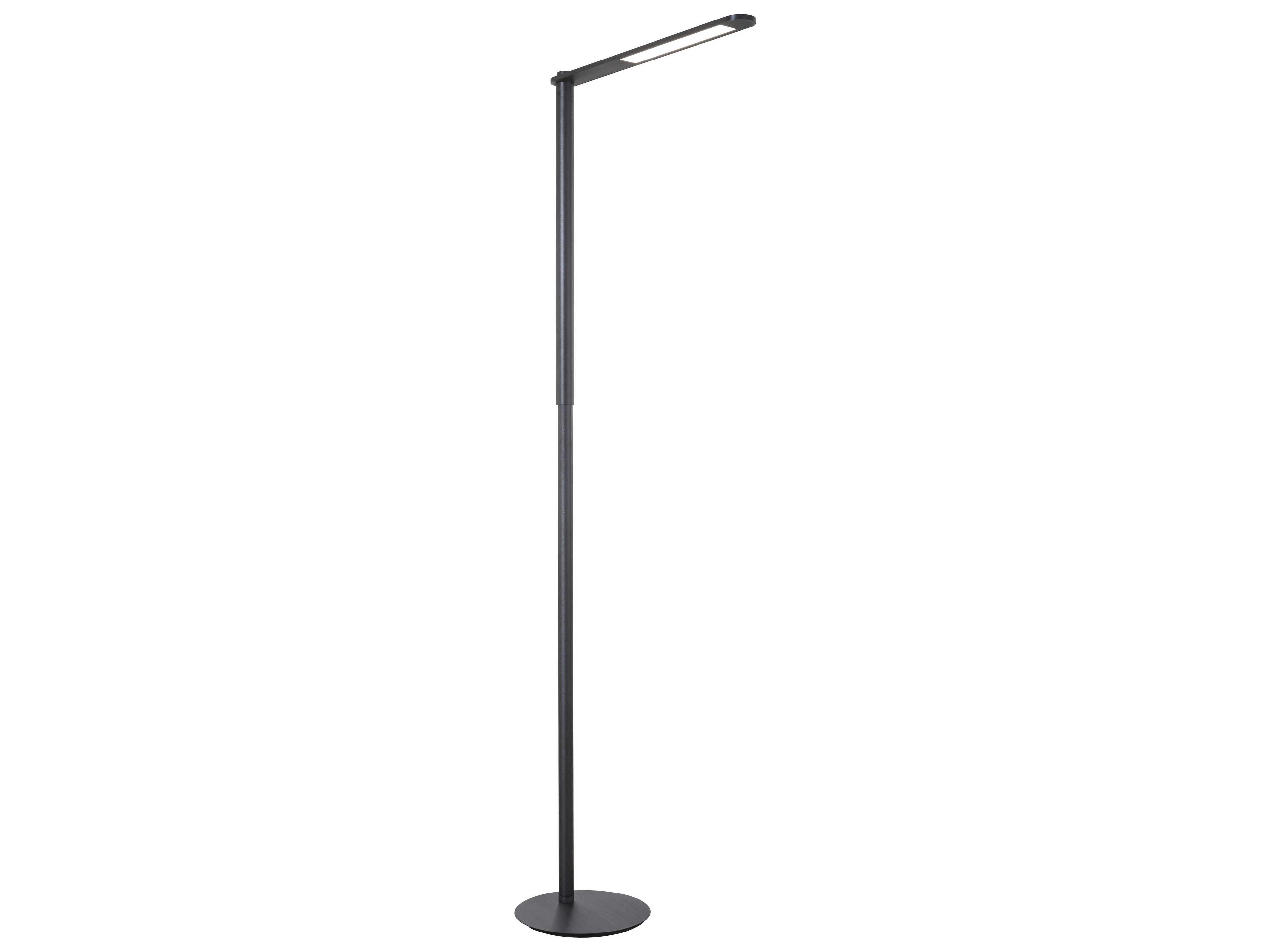 Coal Black Brushed Floor Lamp