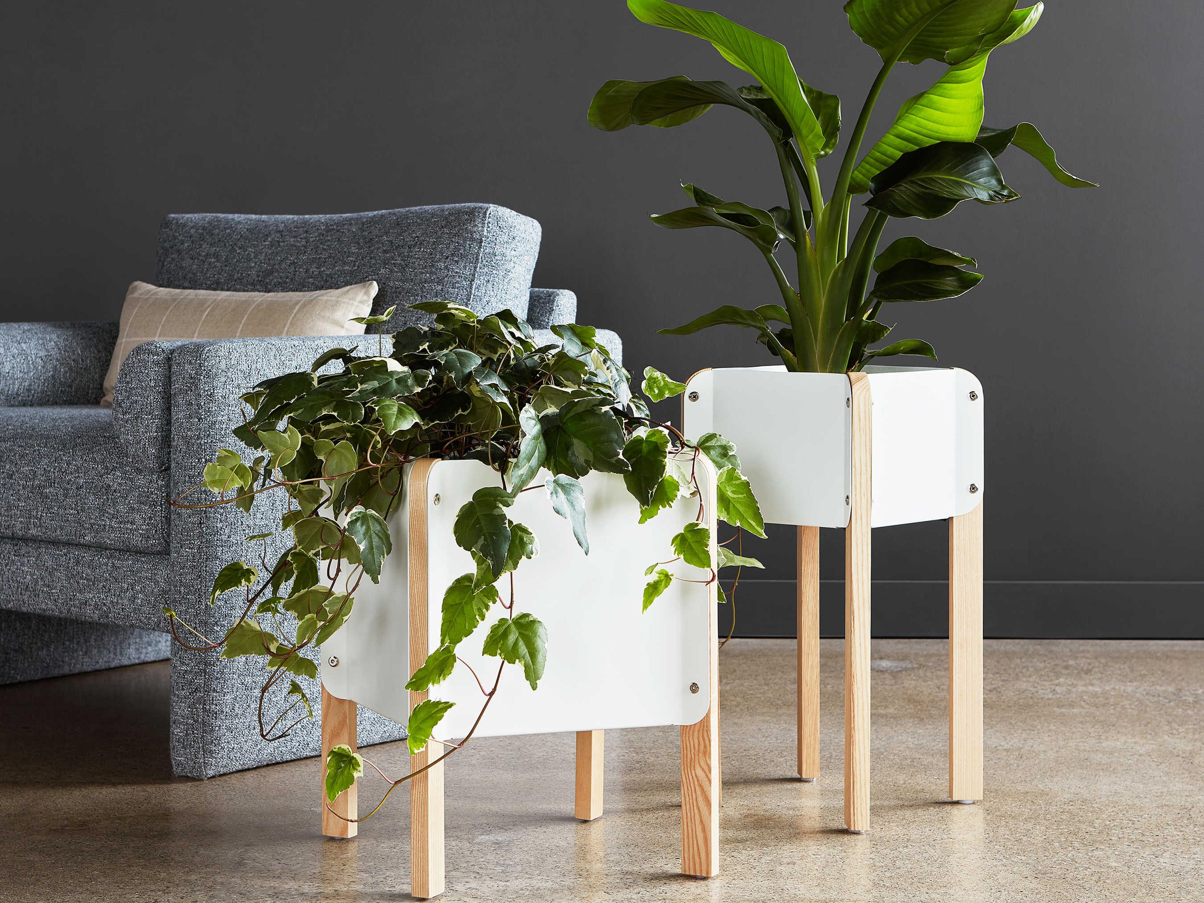 Gus* Modern Atrium White / Ash Natural 22" High Plant Stand