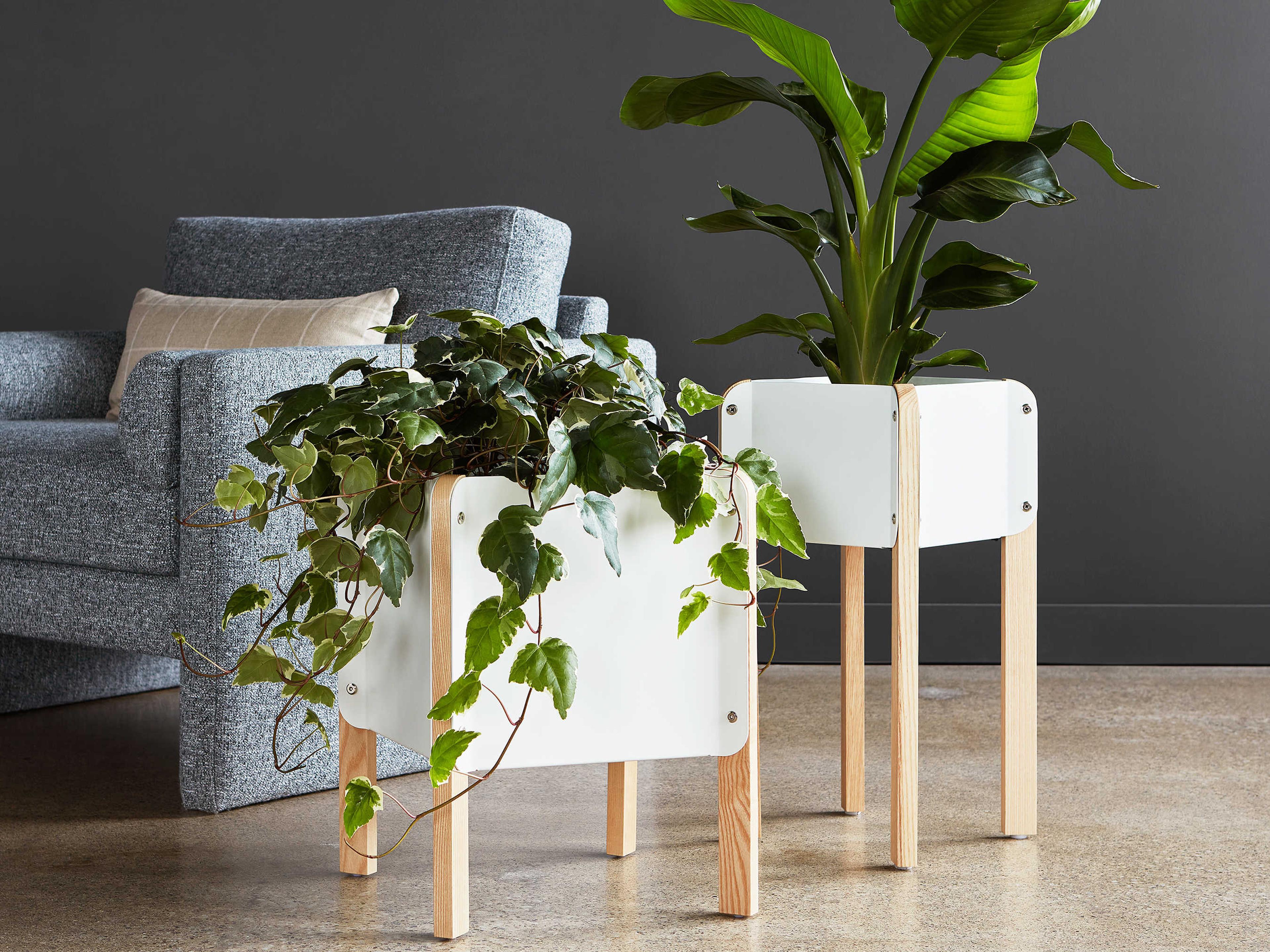 Gus* Modern Atrium White / Ash Natural 19"" High Plant Stand