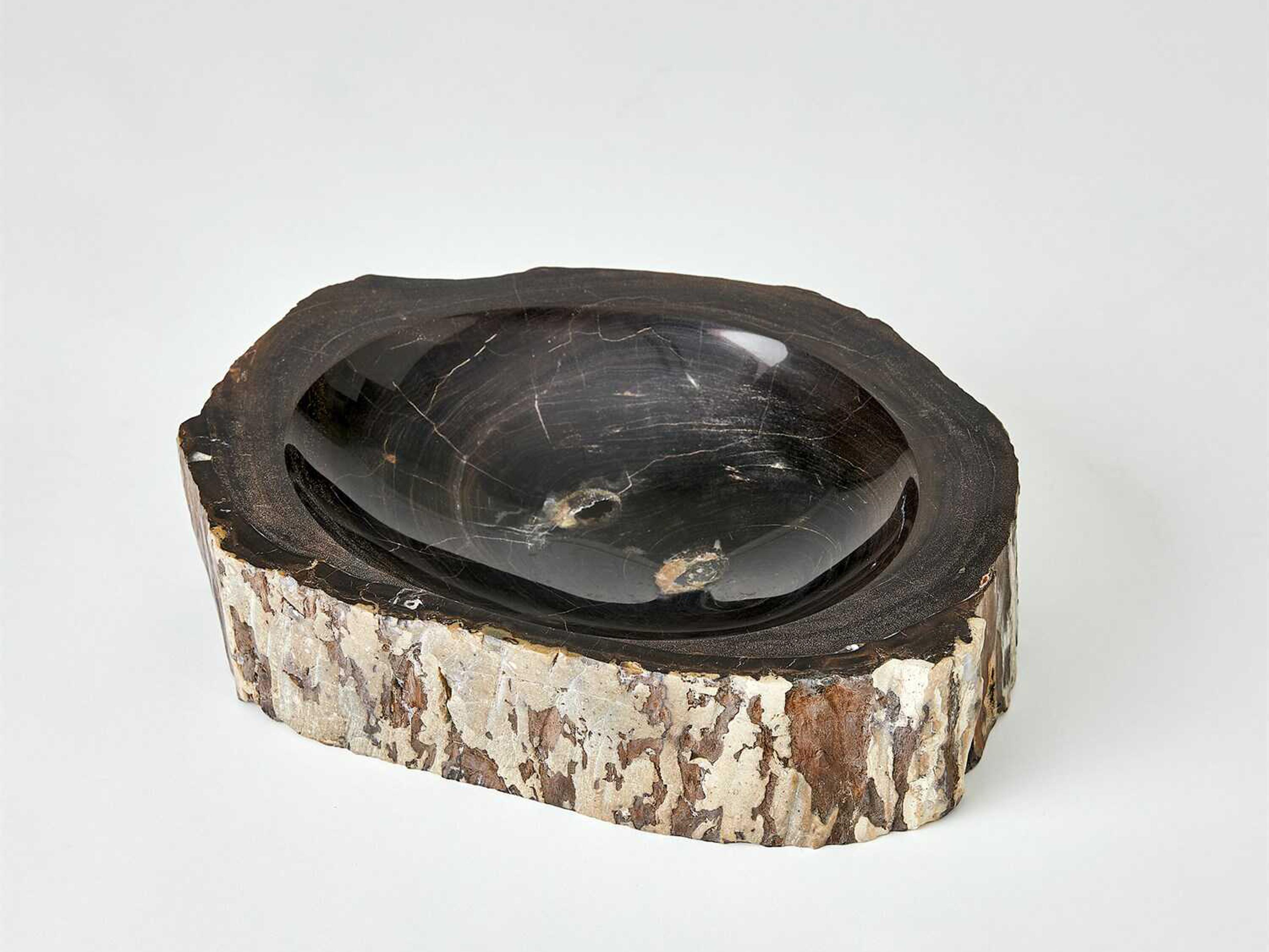 Petrified Black / Brown Bowl