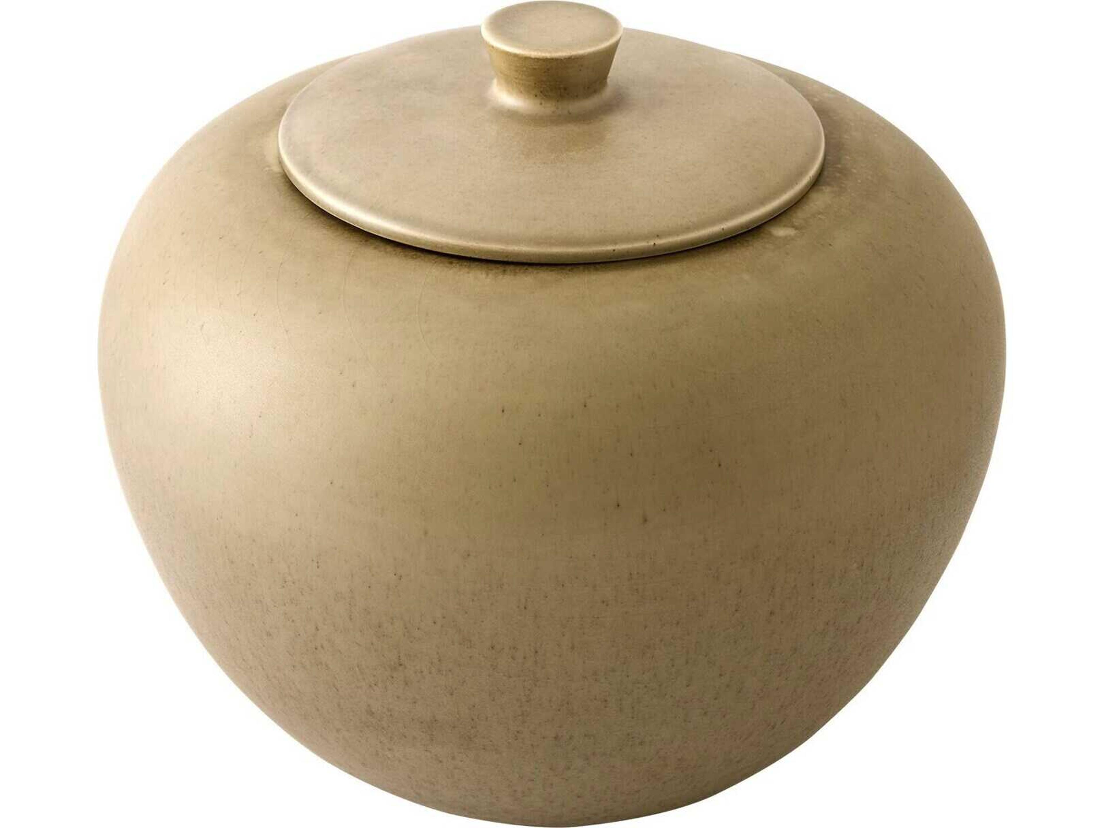 Opolo Jar Moss Decorative Accent