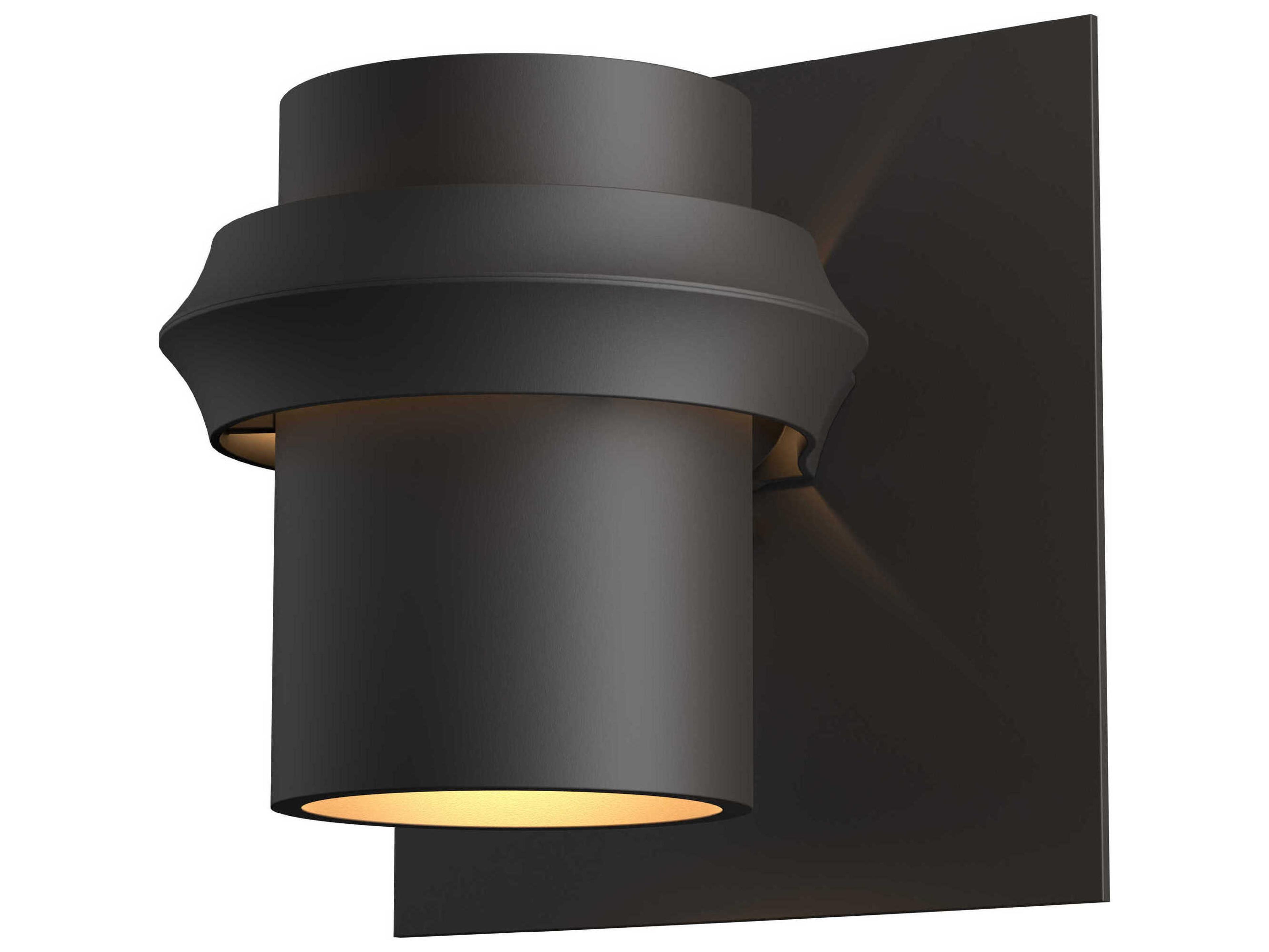 Twilight Dark Sky Outdoor Sconce