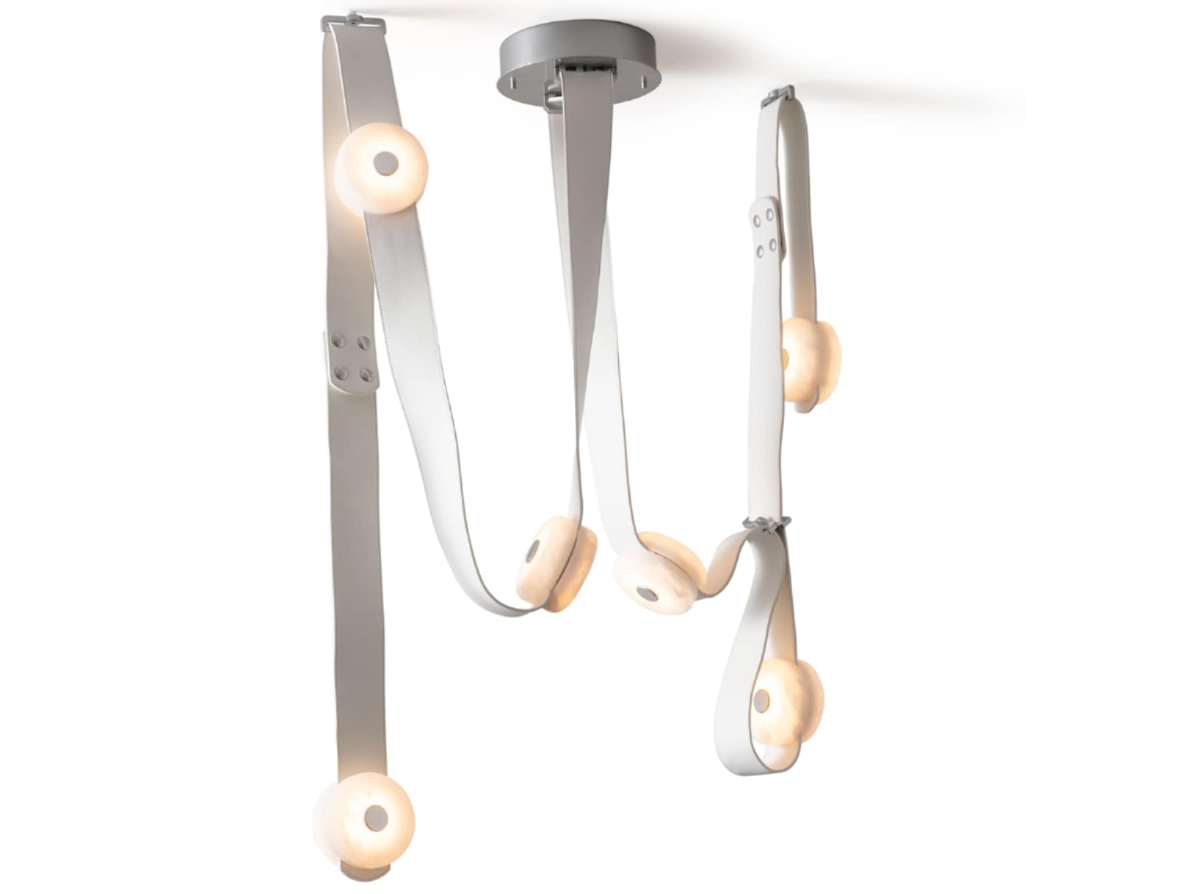 Hubbardton Forge Art + Alchemy SNAPS 6-Light Pendant