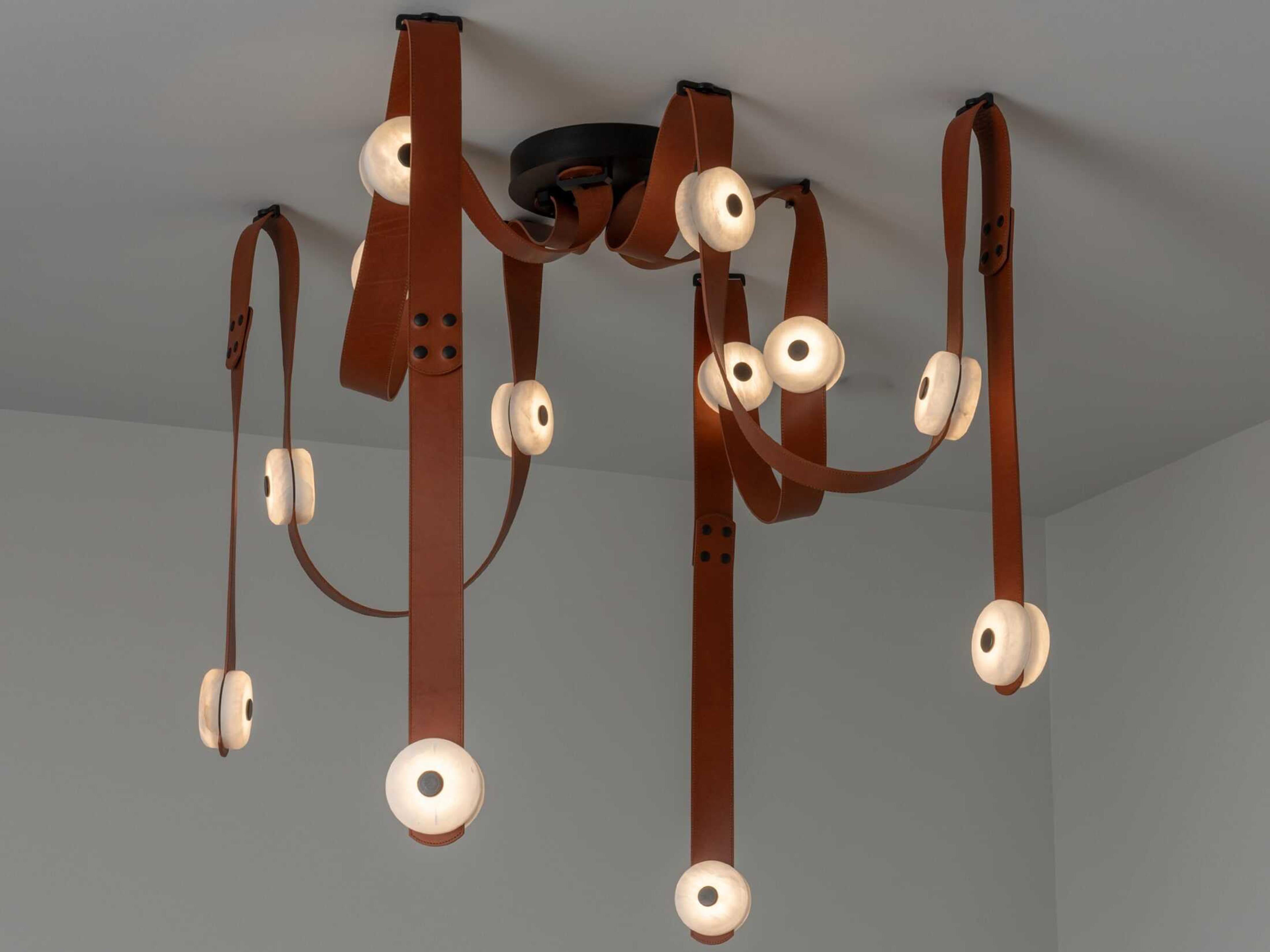 Hubbardton Forge Art + Alchemy SNAPS 12-Light Pendant