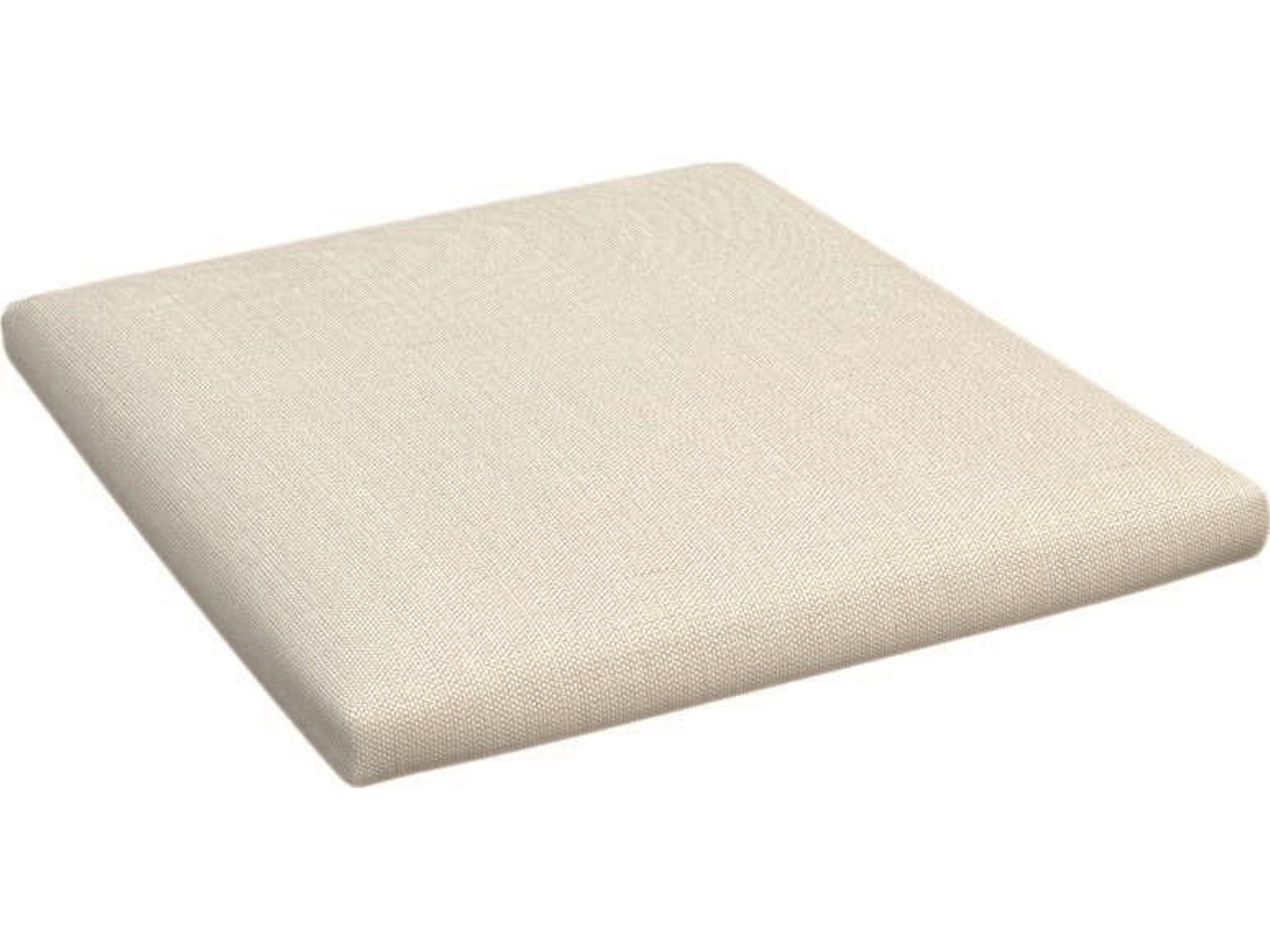 Echo Removable Seat Pad without Ties