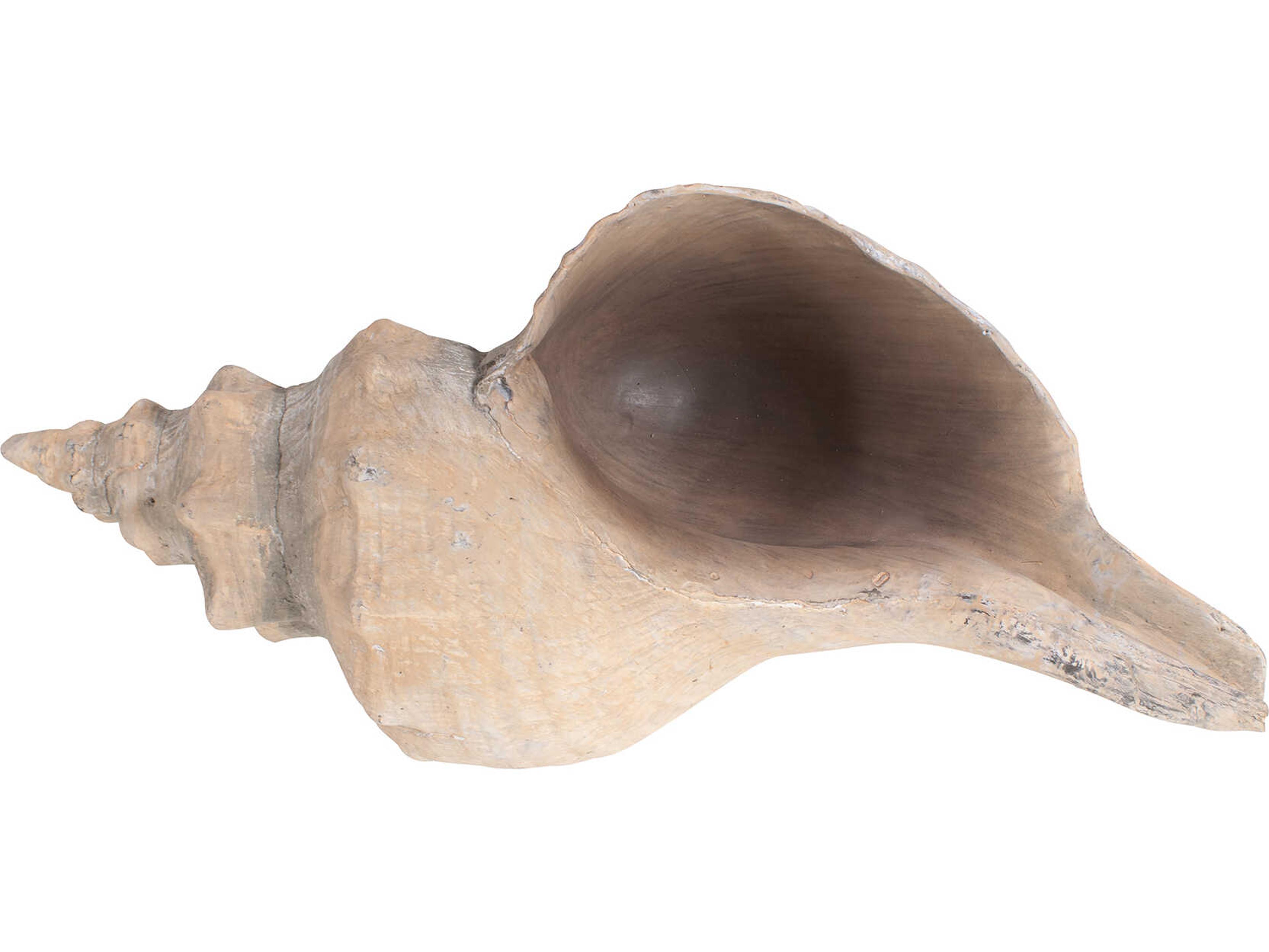 Howard Elliott Horse Conch