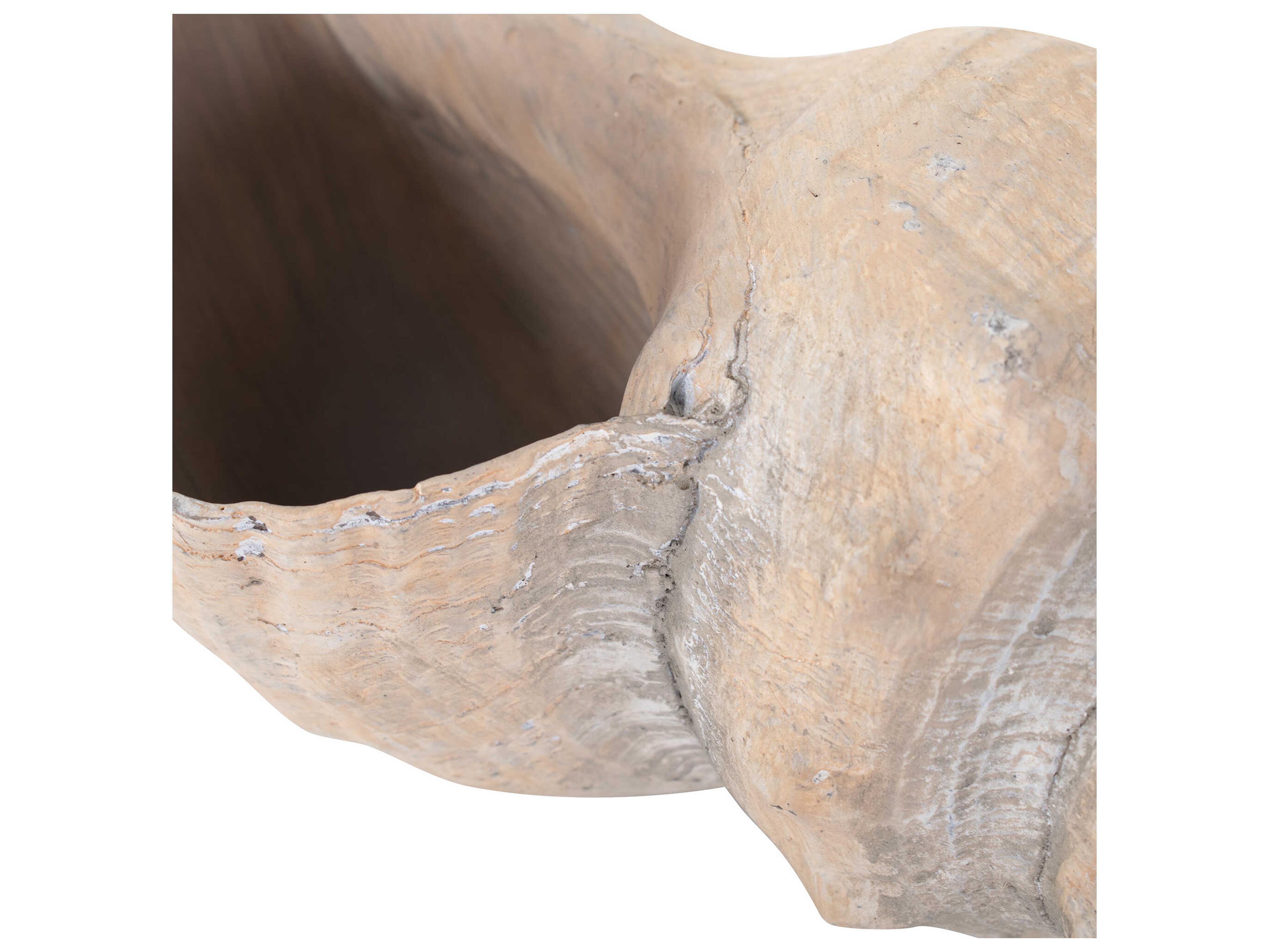 Howard Elliott Horse Conch