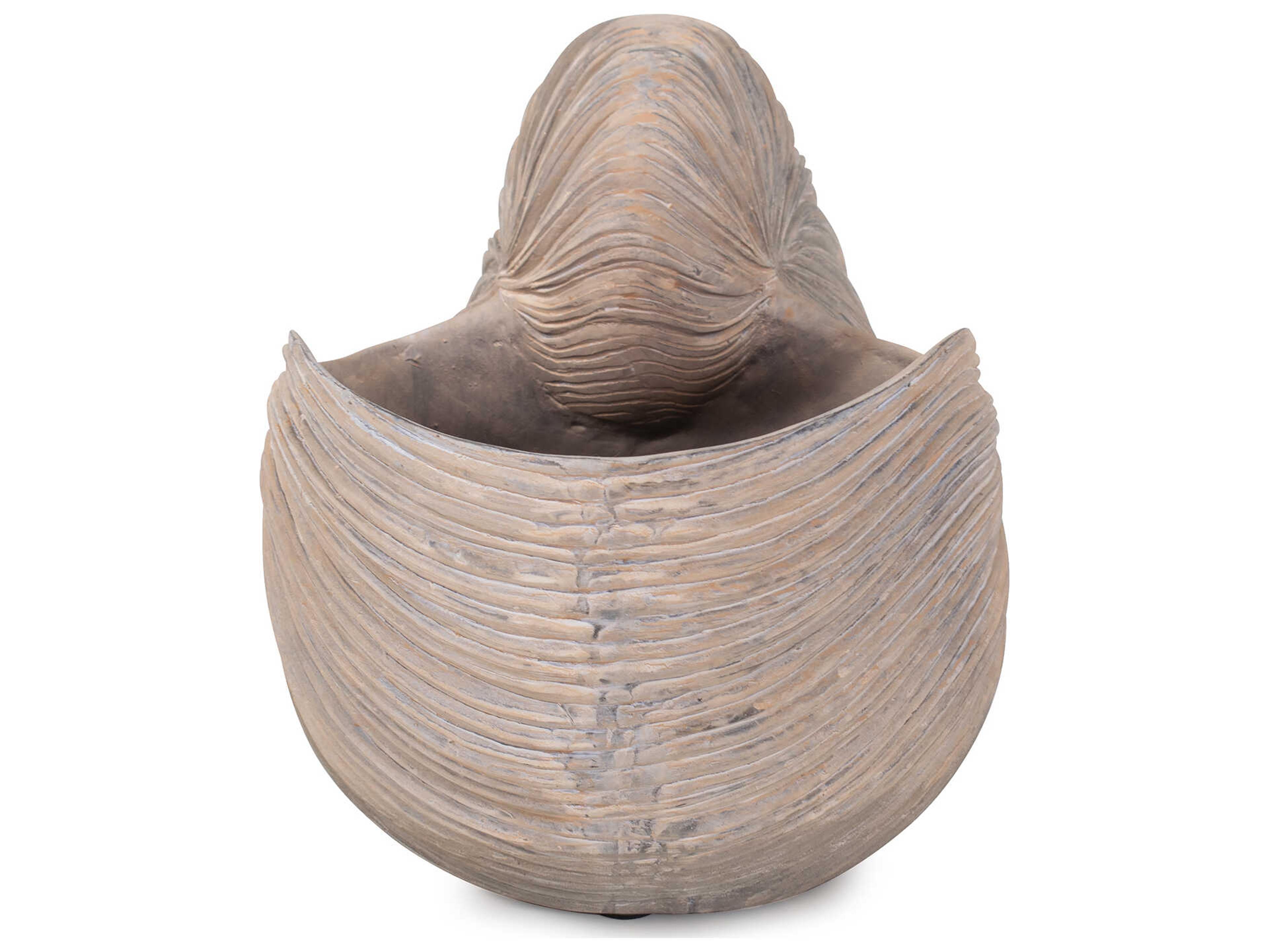 Howard Elliott Nautilus Shell