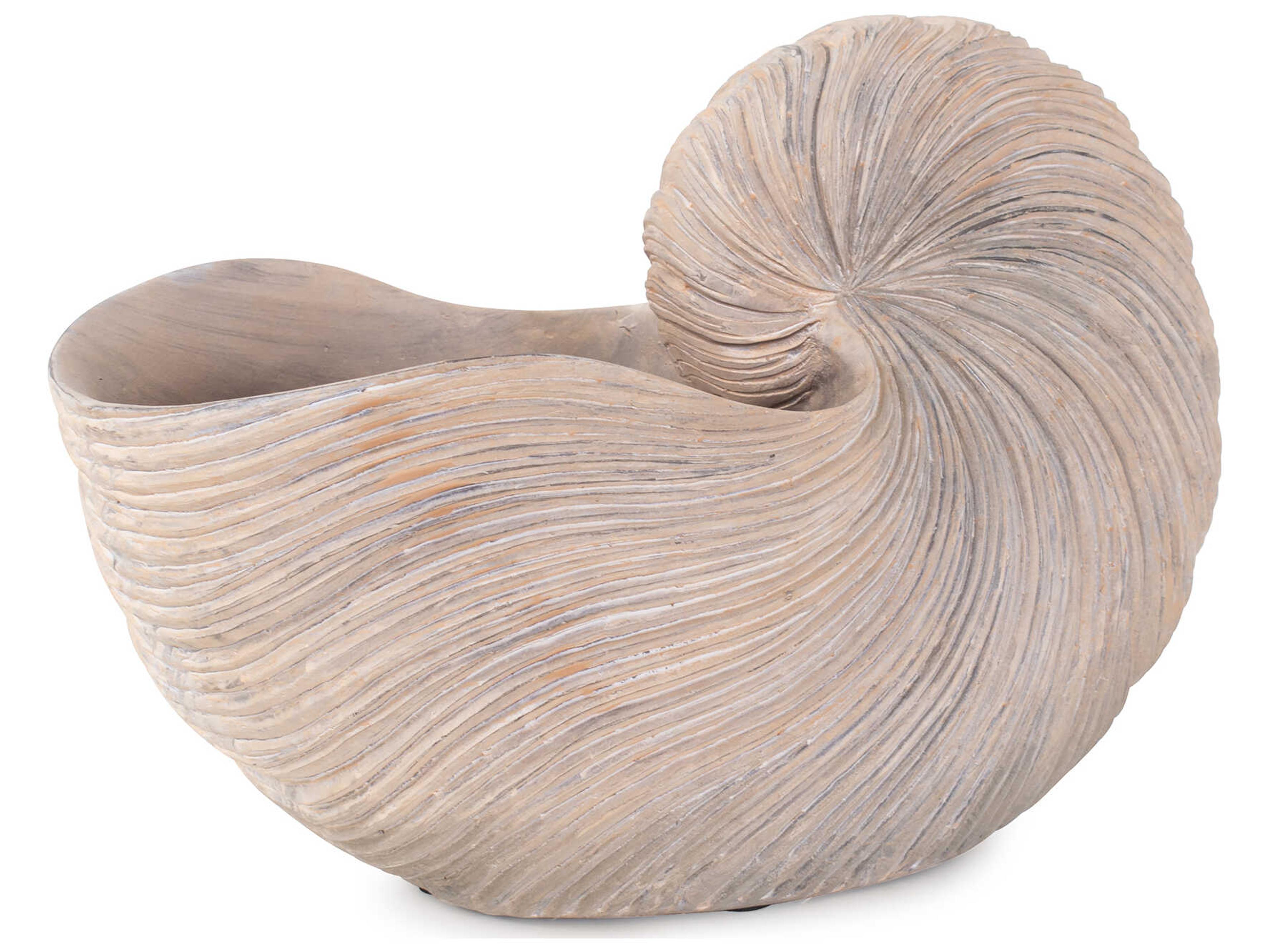 Howard Elliott Nautilus Shell