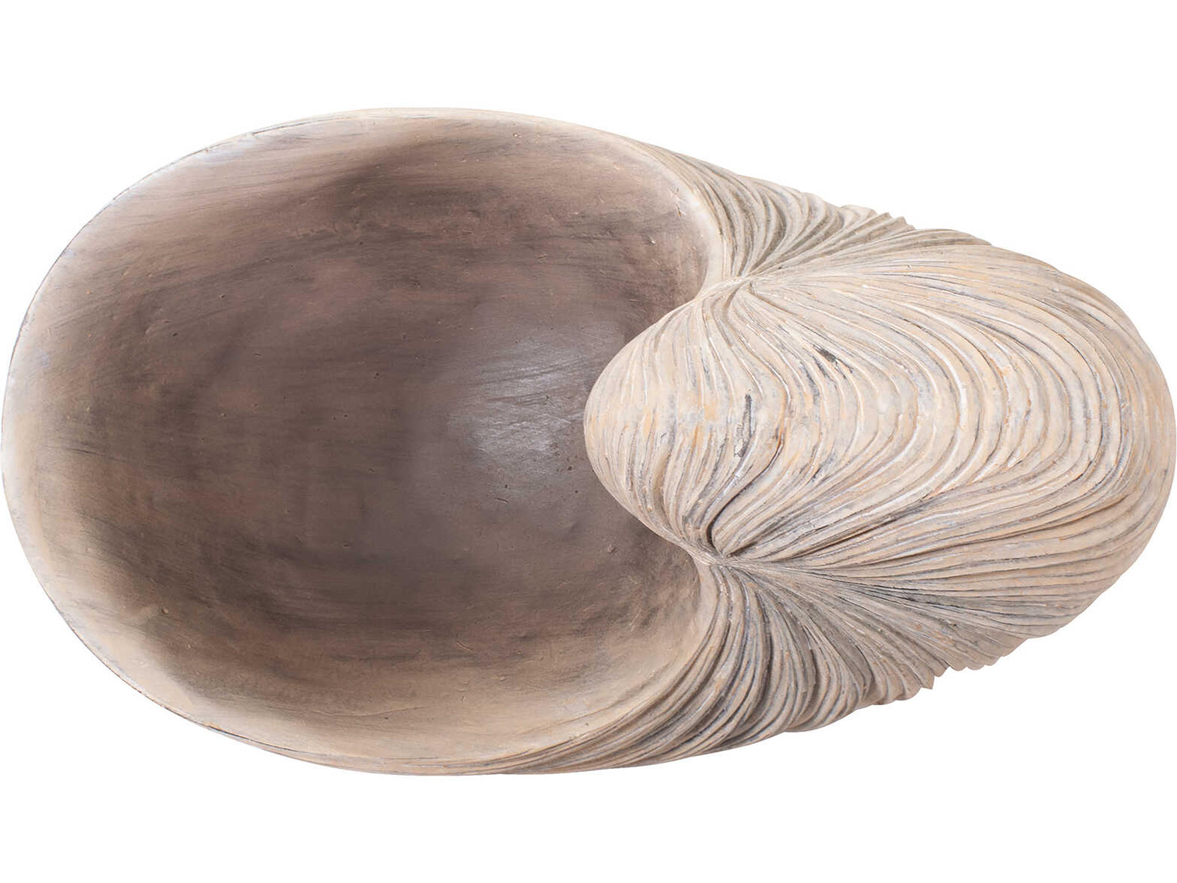 Howard Elliott Nautilus Shell