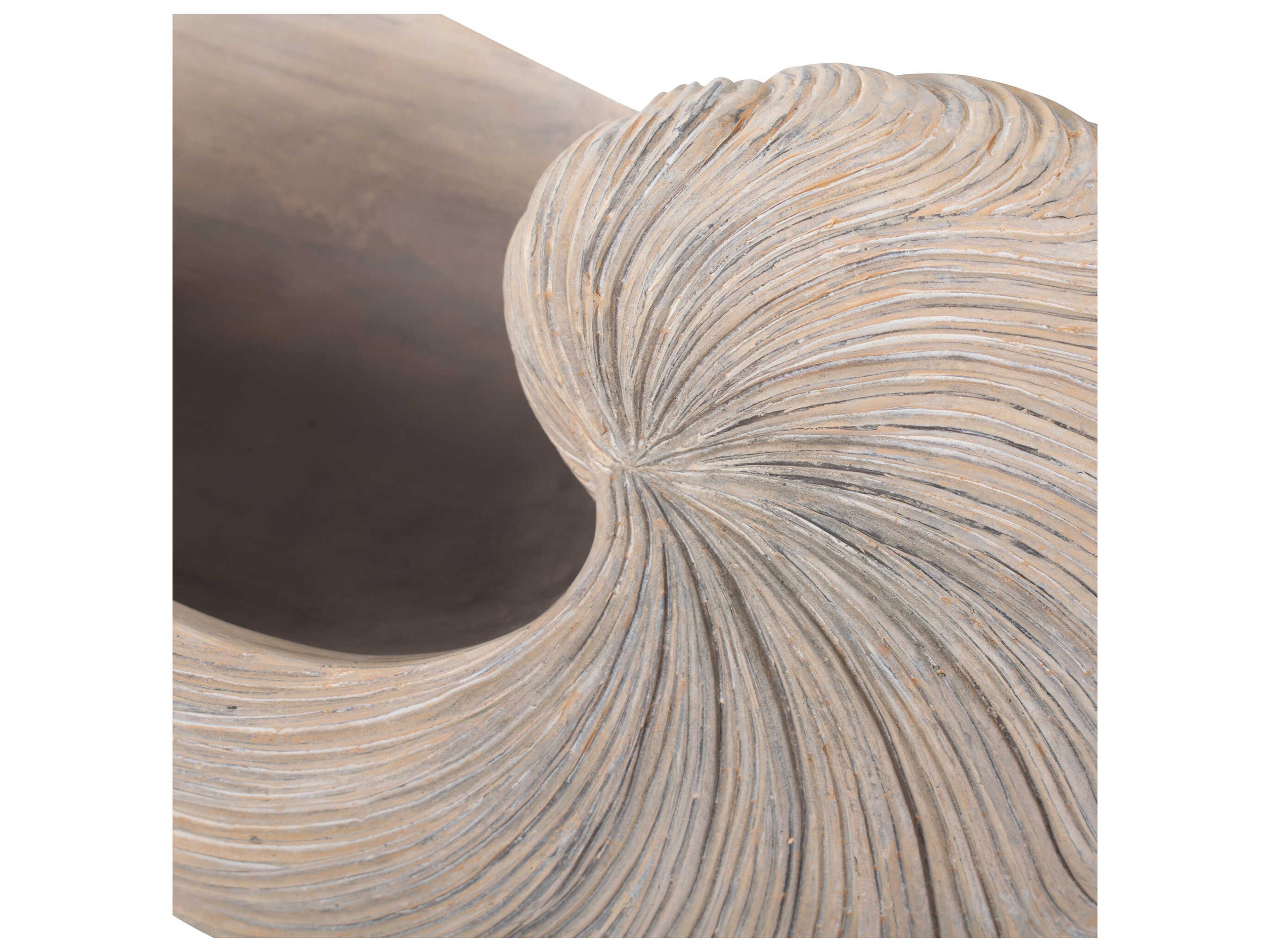 Howard Elliott Nautilus Shell