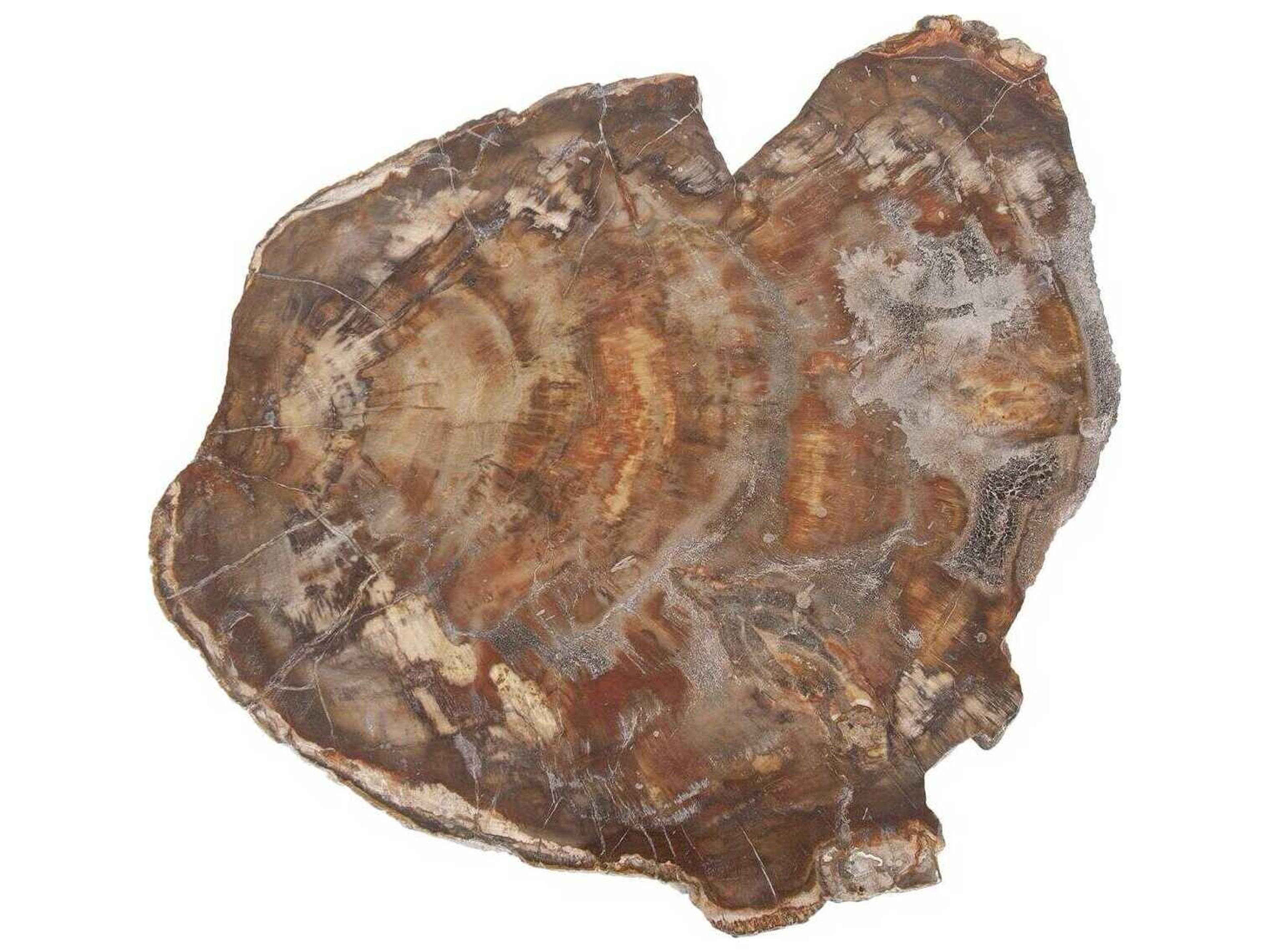 Howard Elliott Arturo Wood Natural Gold End Table