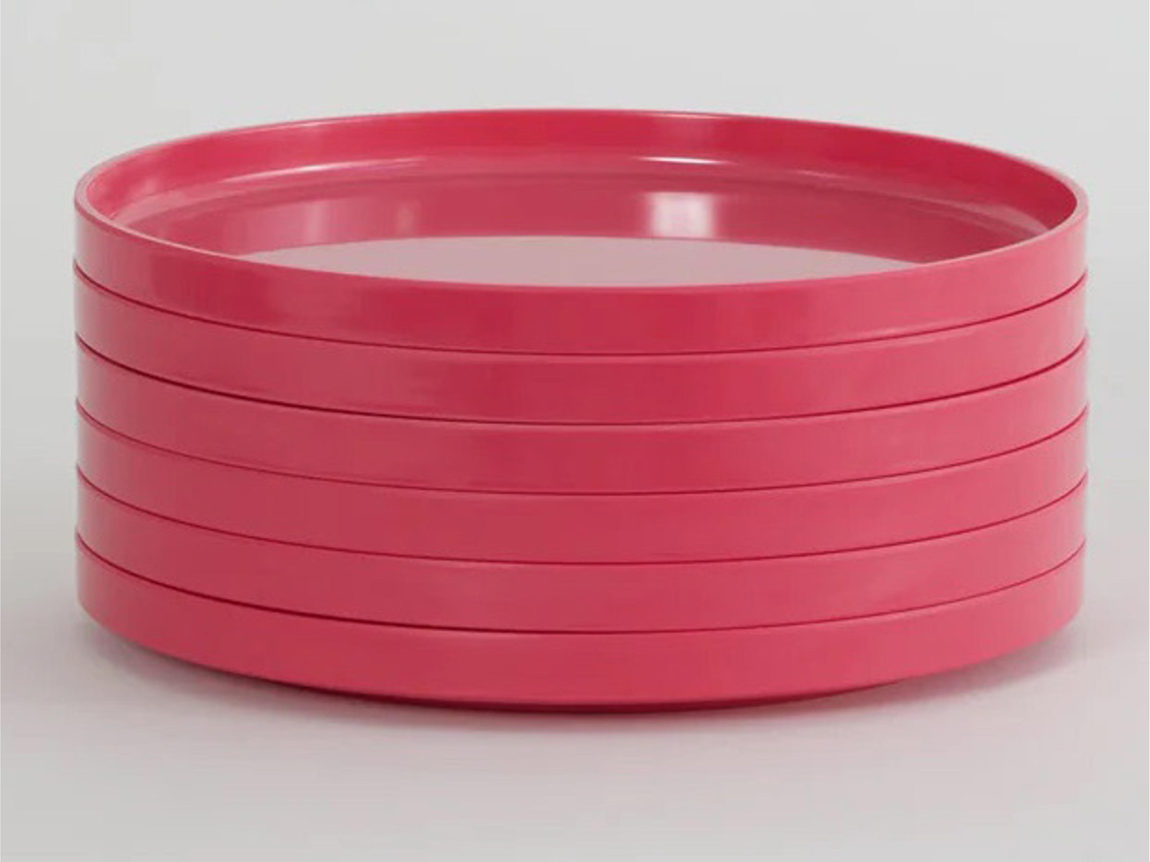 Heller Max Pink Dinnerware Kit 24 (6 dinner plates, 6 salad plates, 6 bowls, 6 mugs)