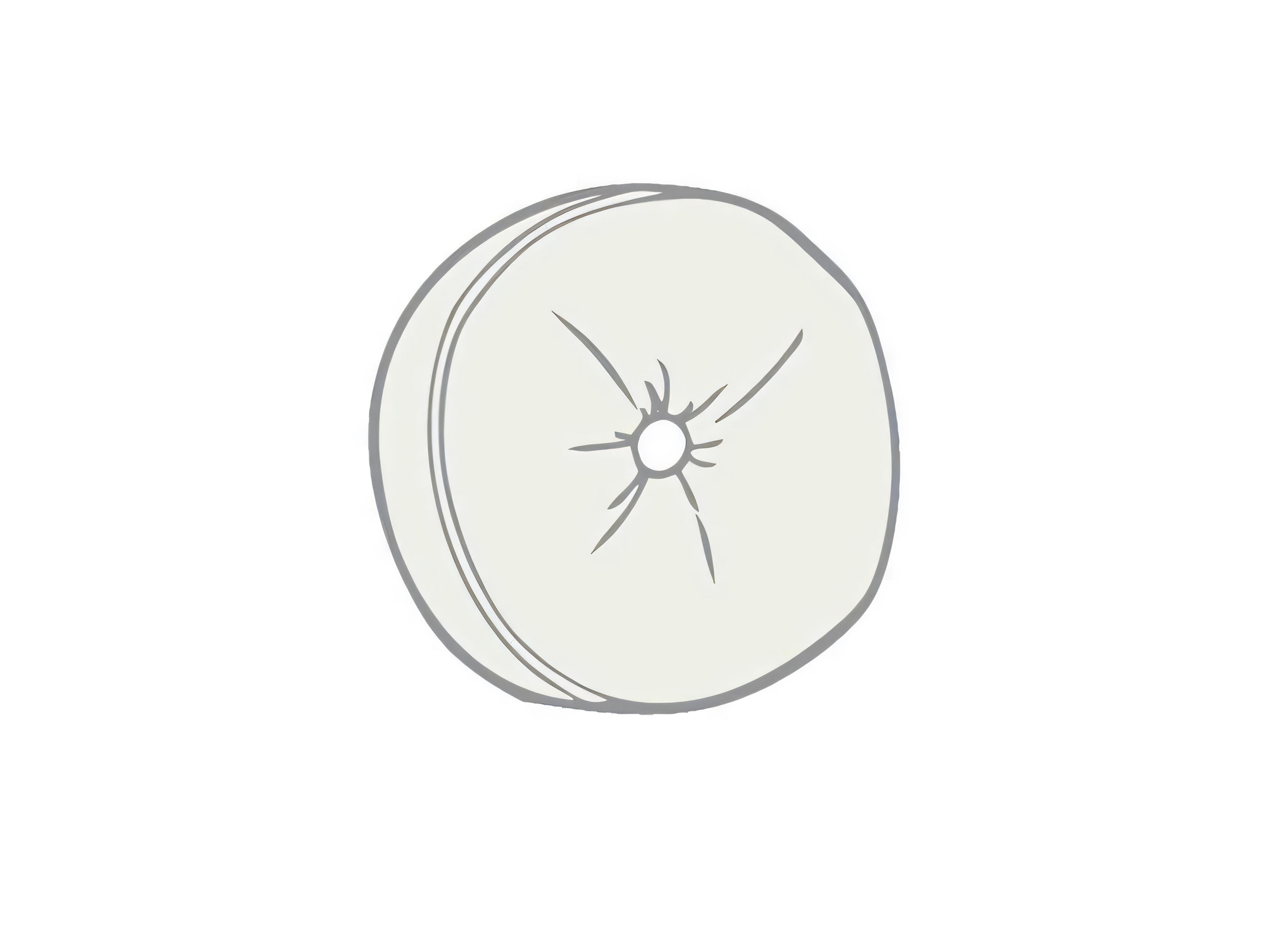 Round Boxed Edge Pillow