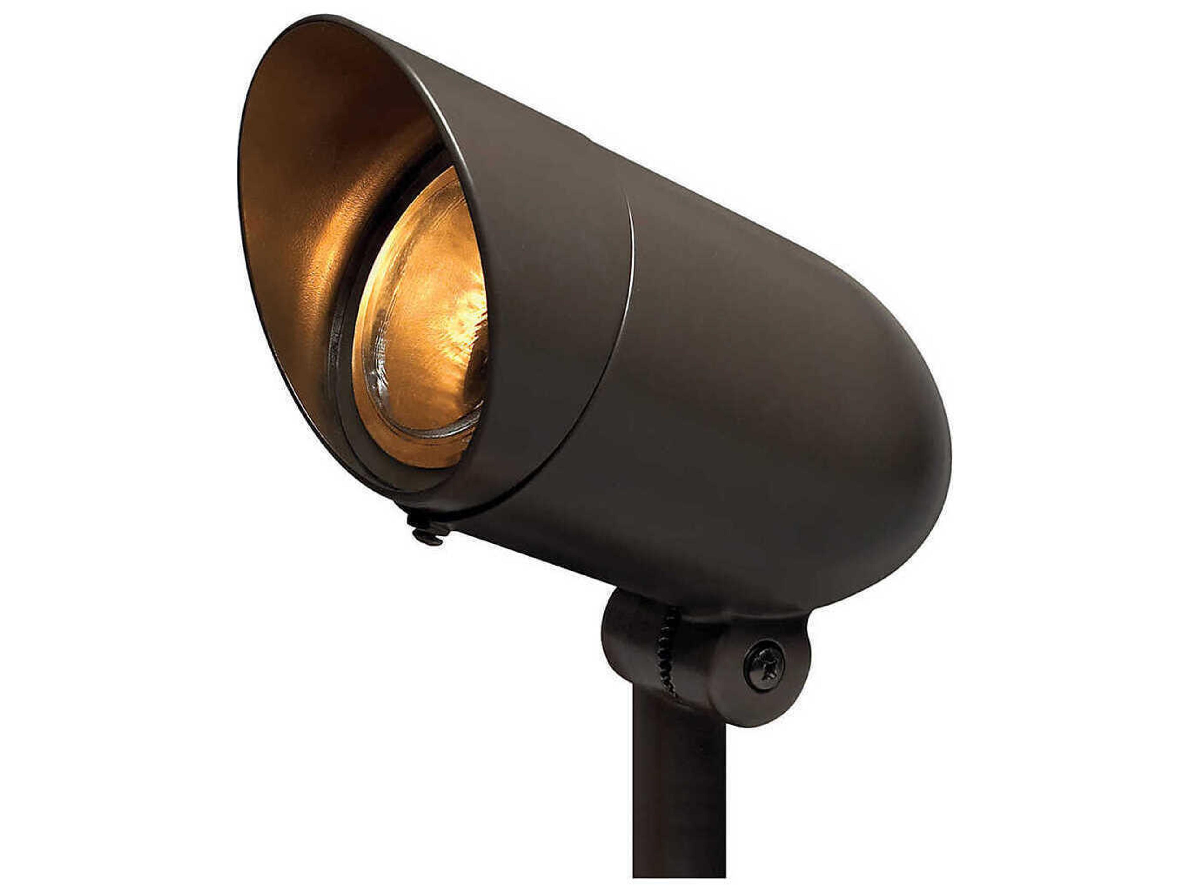 Line Voltage Spot Outdoor Light